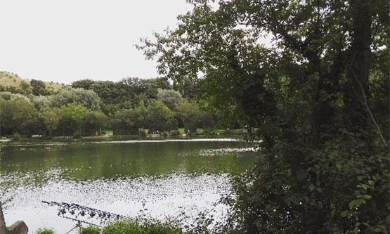 Etang municipal à Desvres