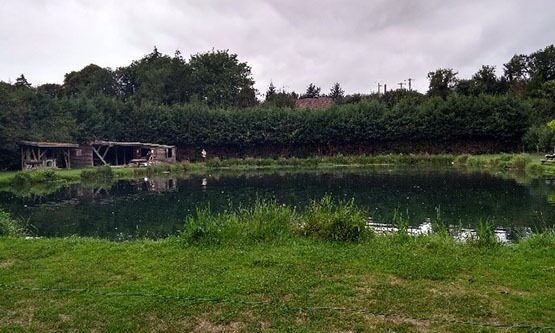 Pisciculture de la Course à Beussent
