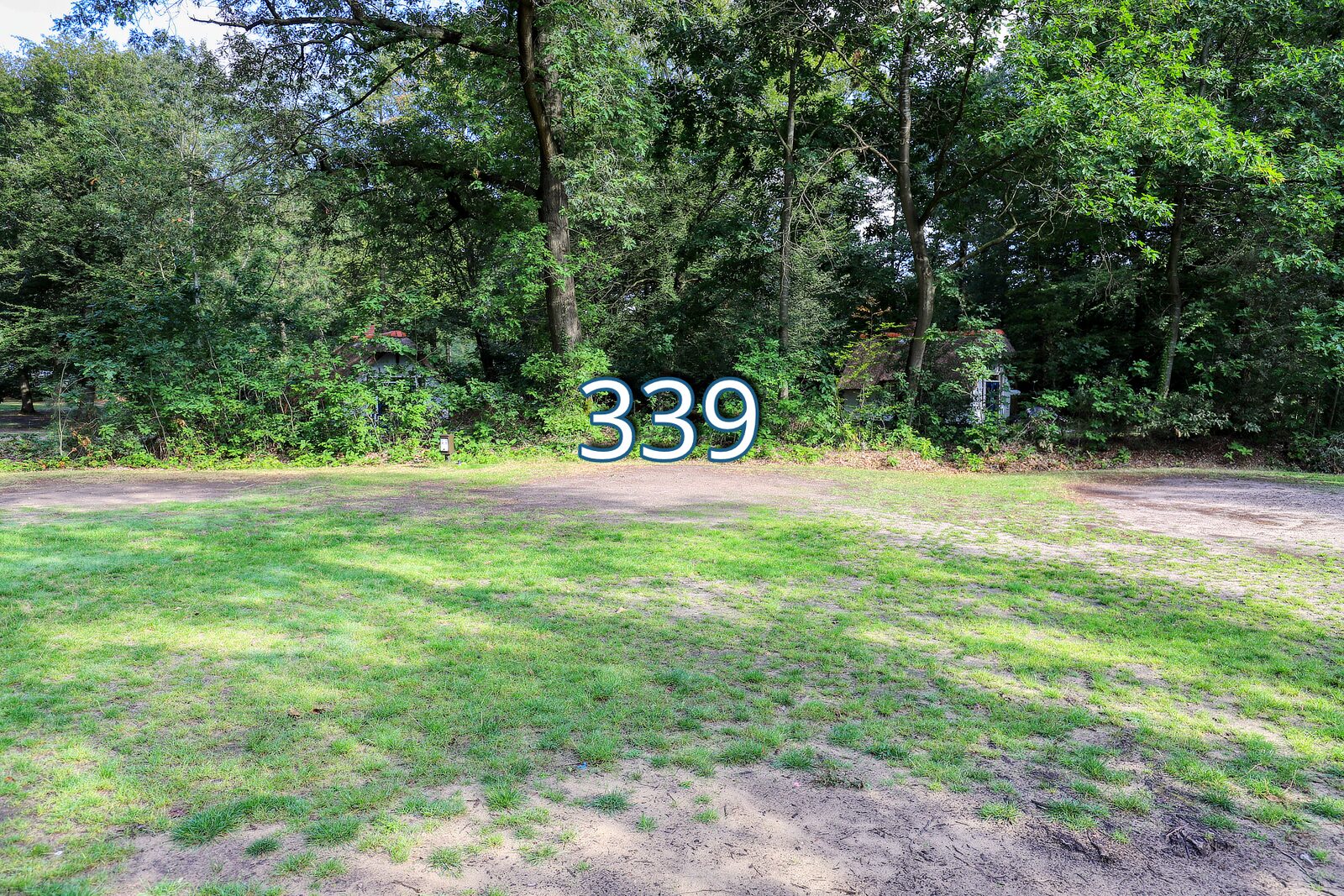 patrijs 339