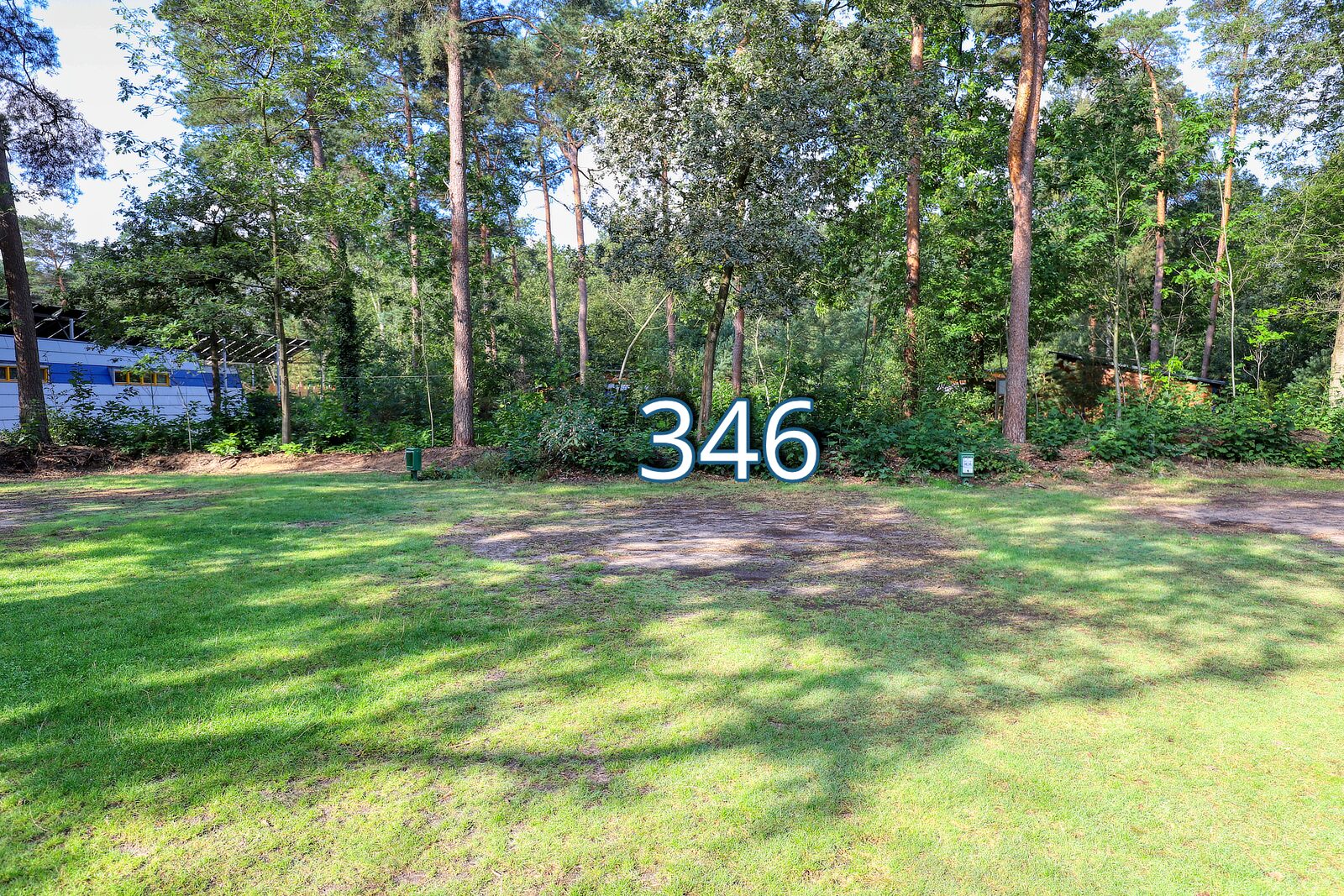 patrijs 346