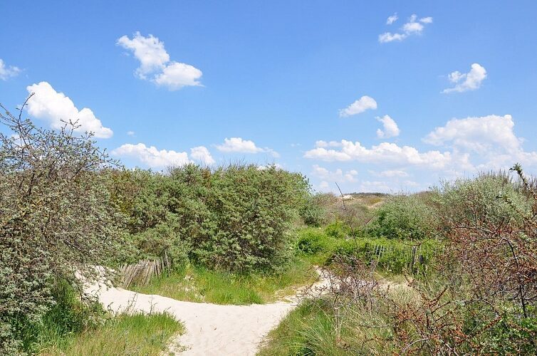 Circuit de la Dune Marchand