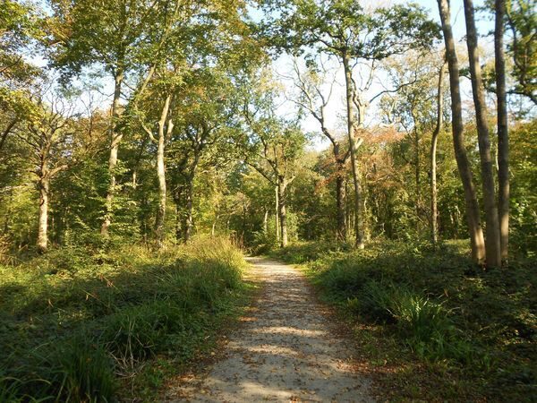 Sentier des Aulnes