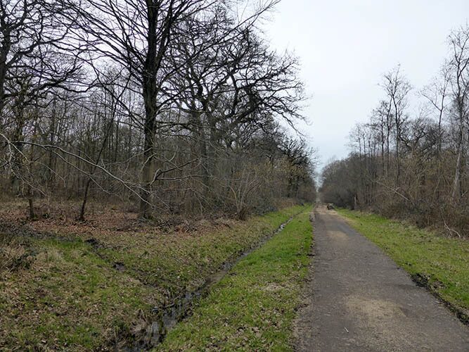 Sentier du château