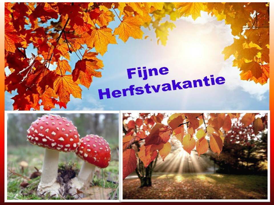 Herfstvakantie Parc de Kievit