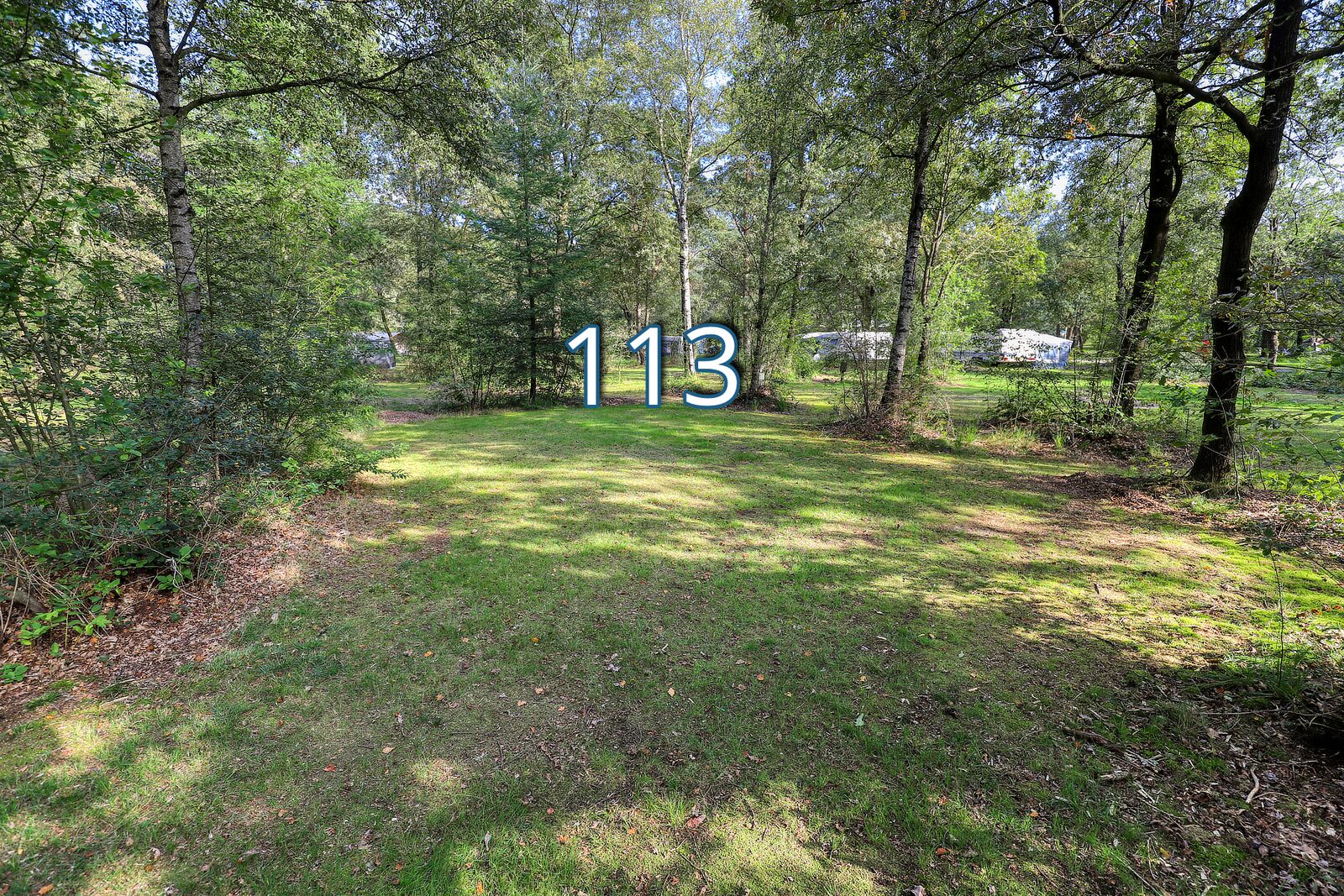 boshoek 113
