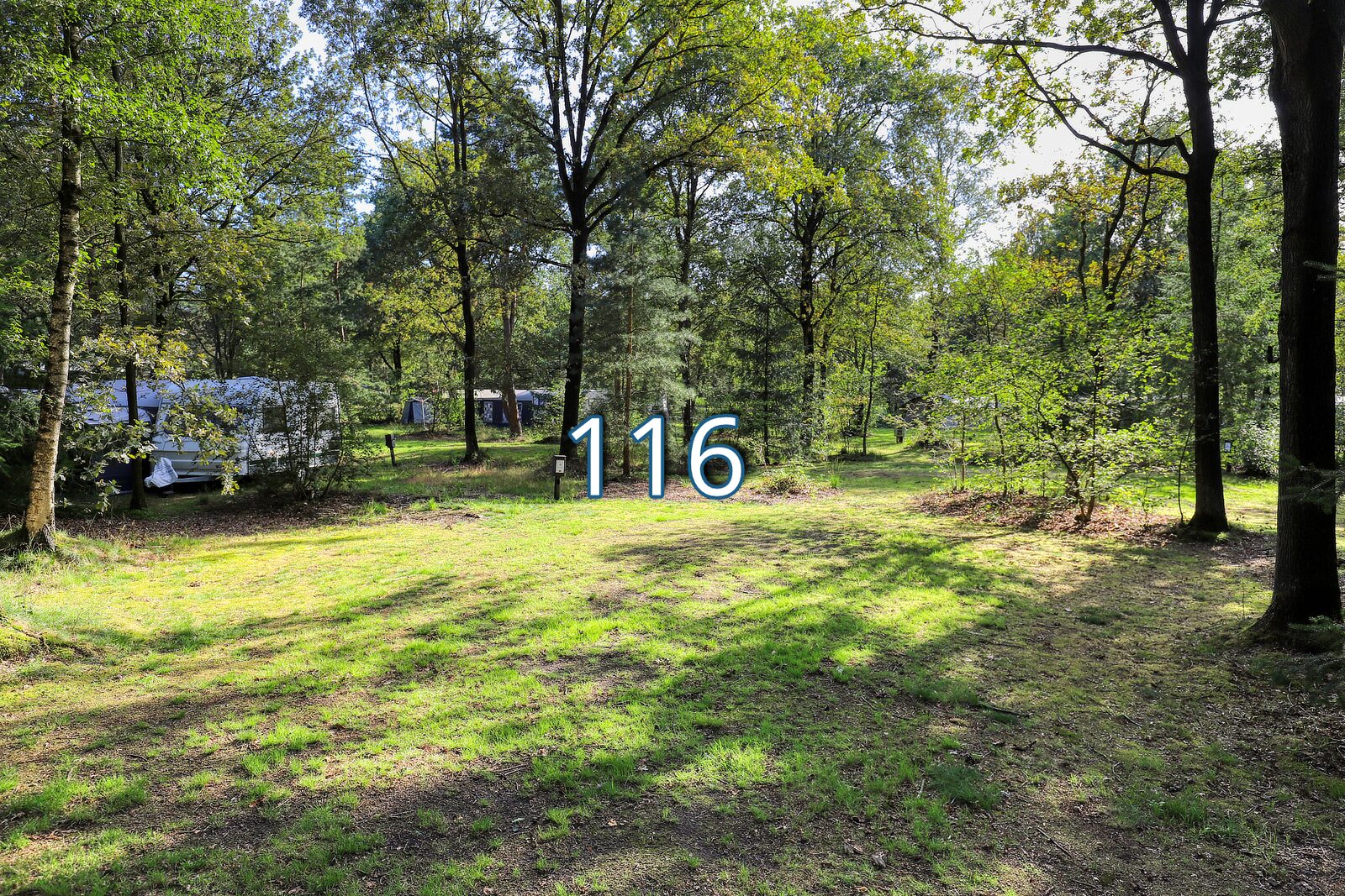 boshoek 116