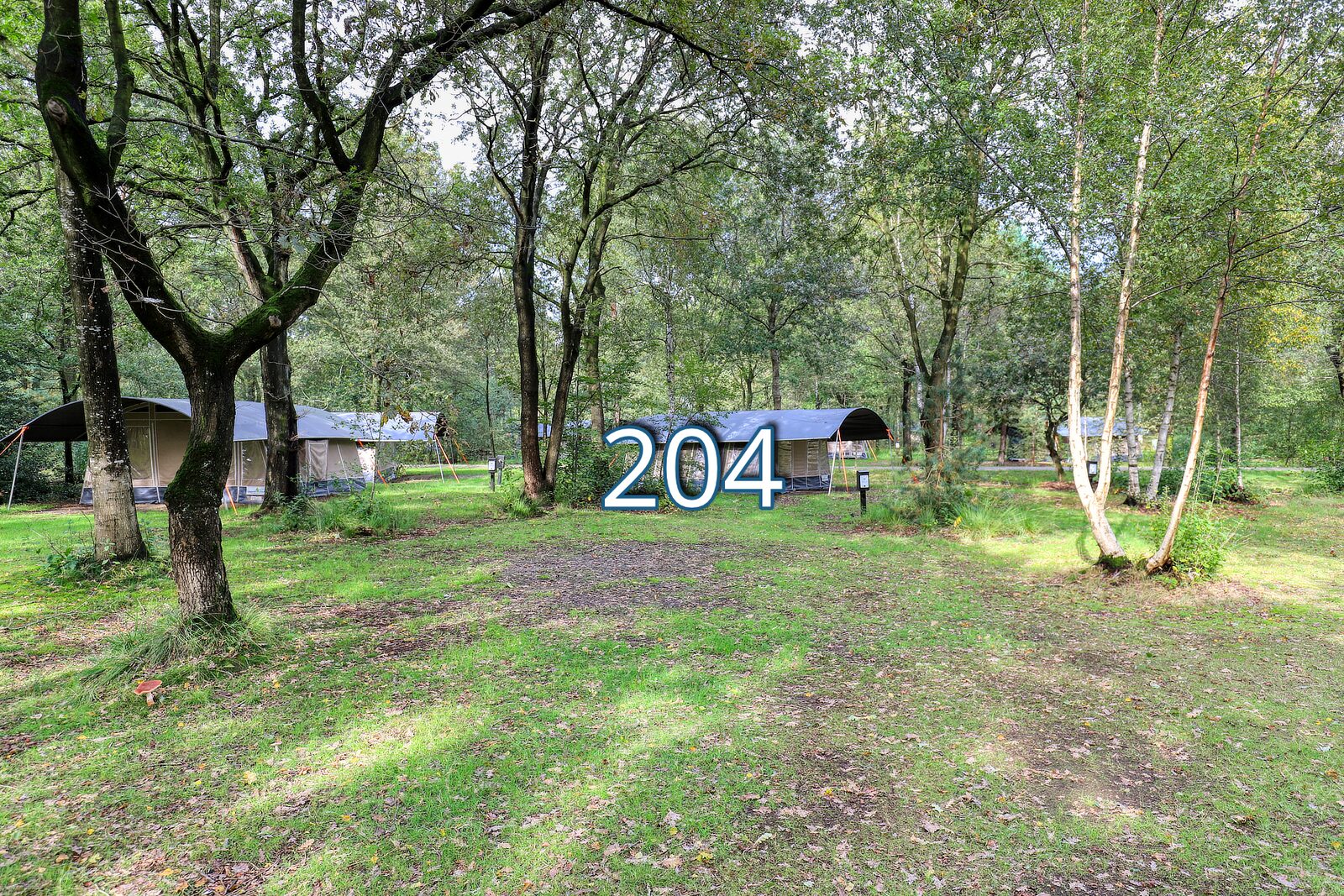 roege stuk 204