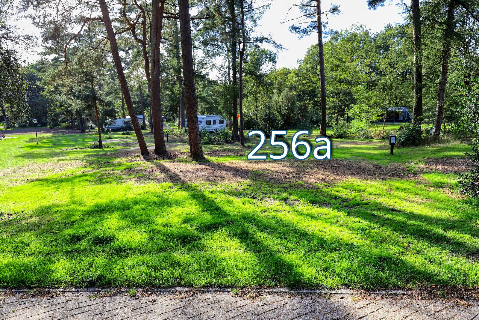 bosrand 256a