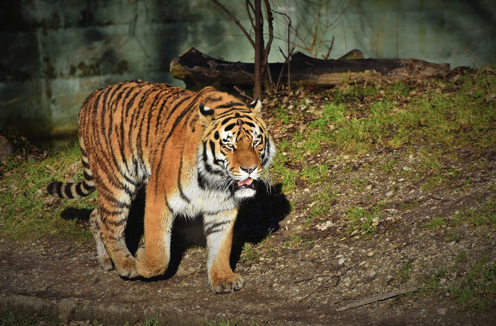 Zoo des Sables