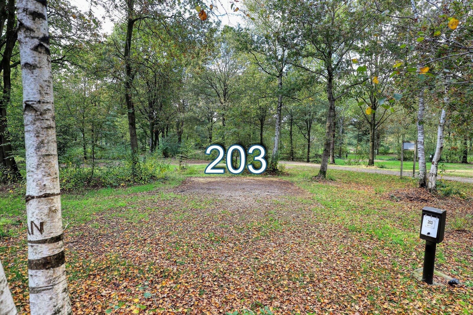 roege stuk 203