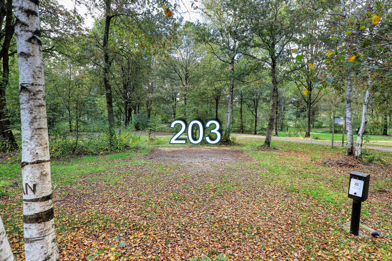 roege stuk 203