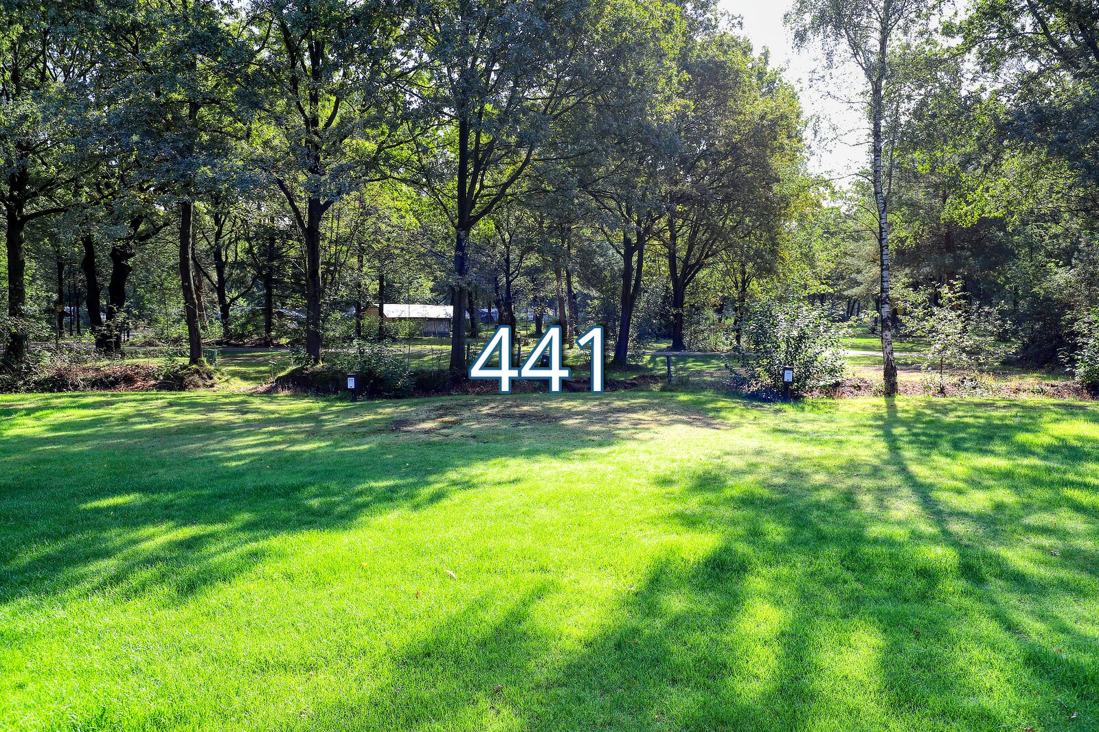 rumte 441
