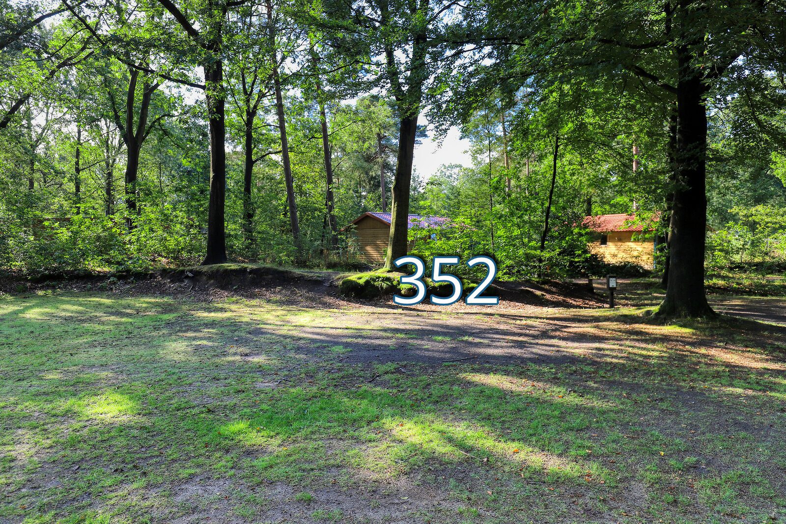 houtduif 352