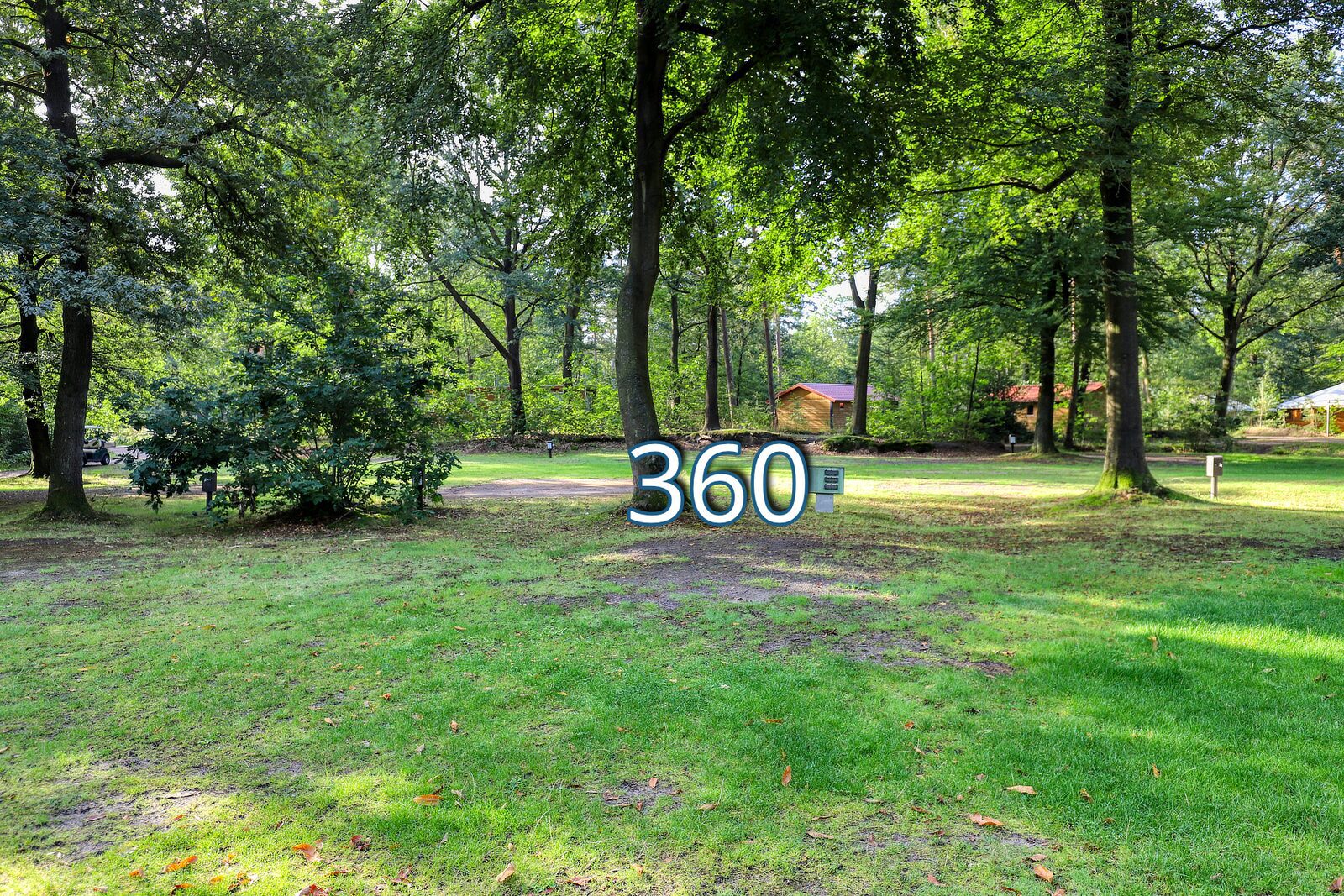 houtduif 360
