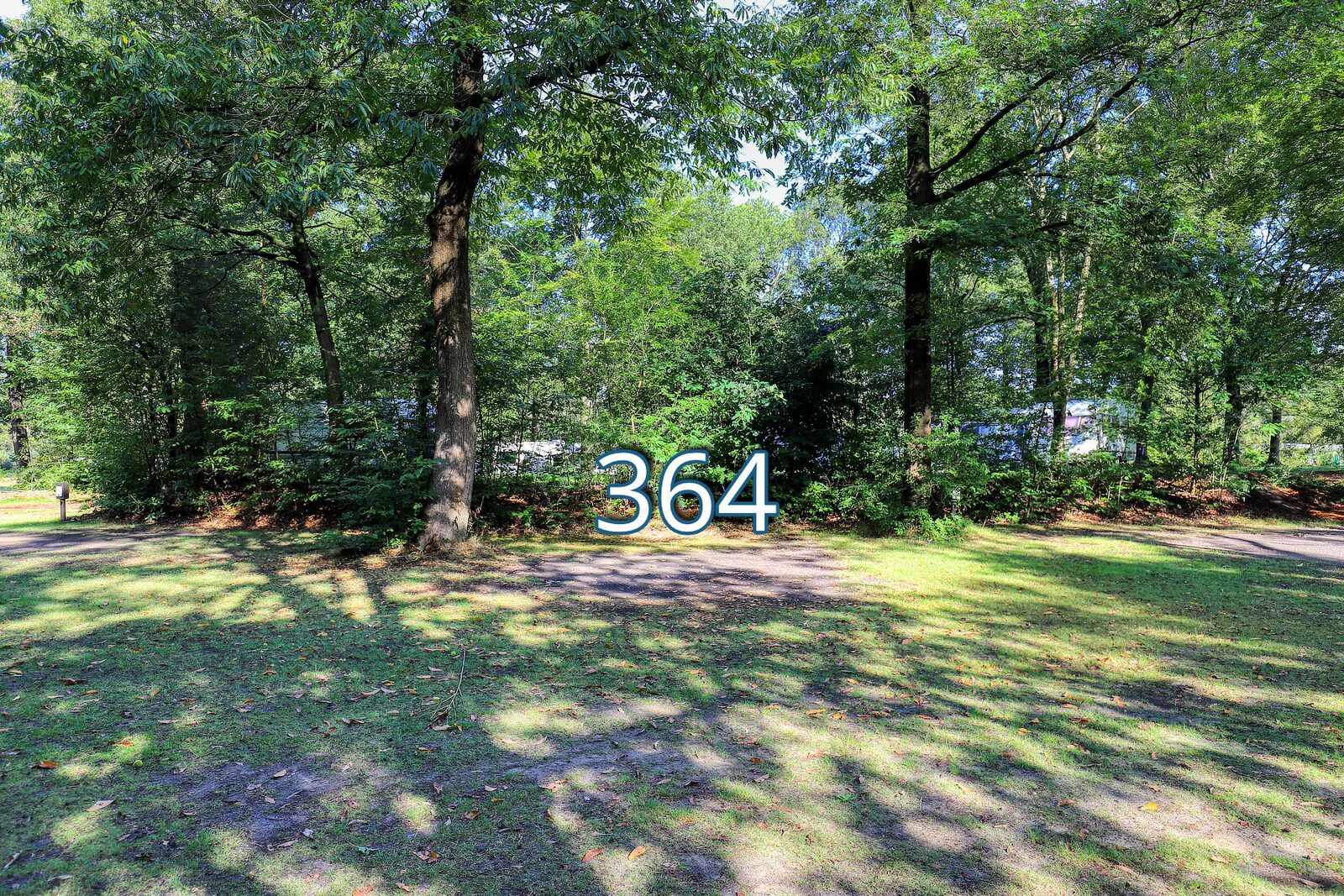 houtduif 364
