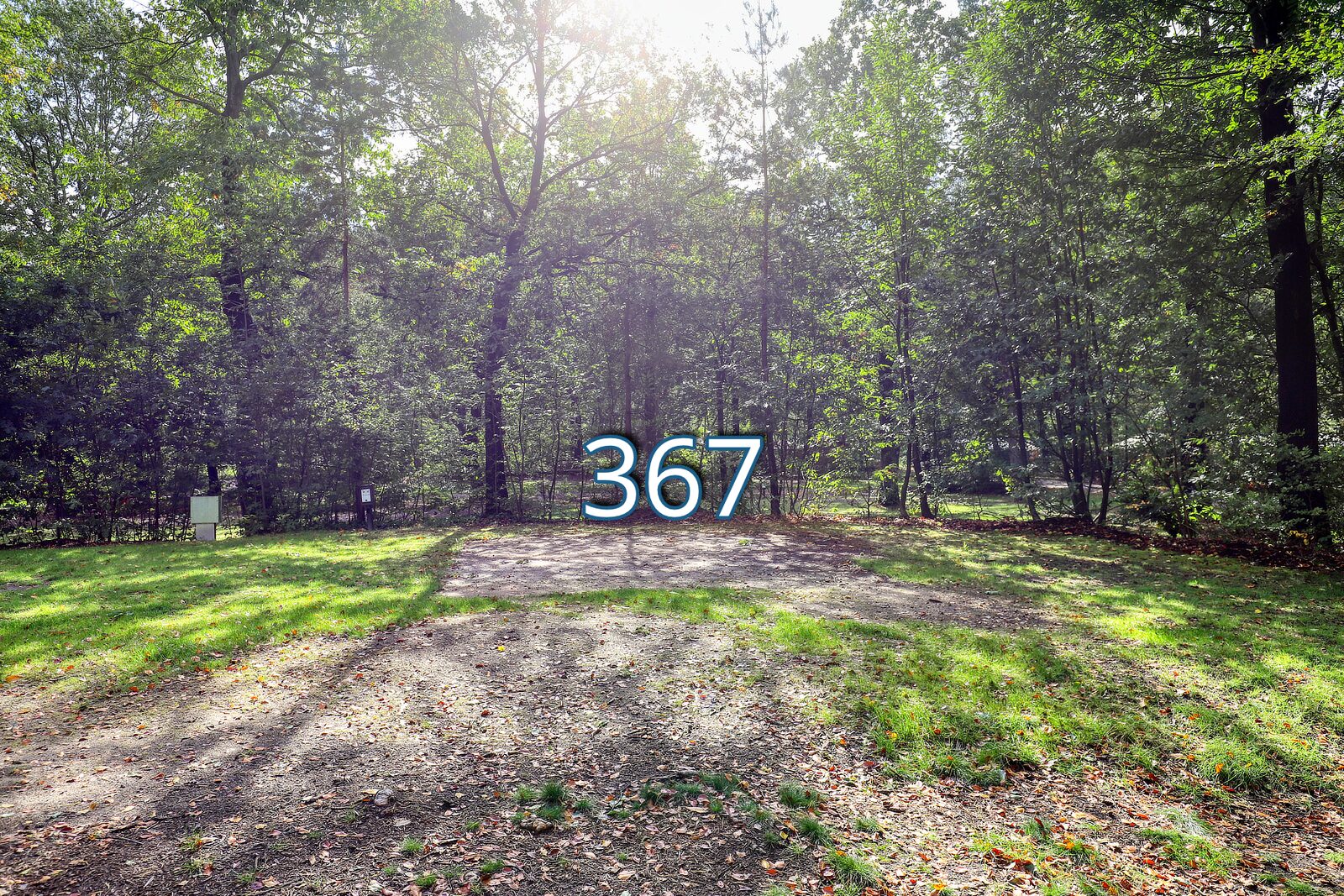 houtduif 367