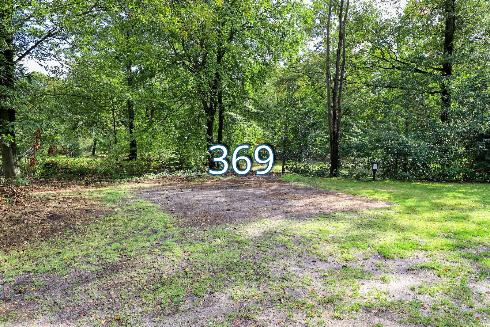 houtduif 369