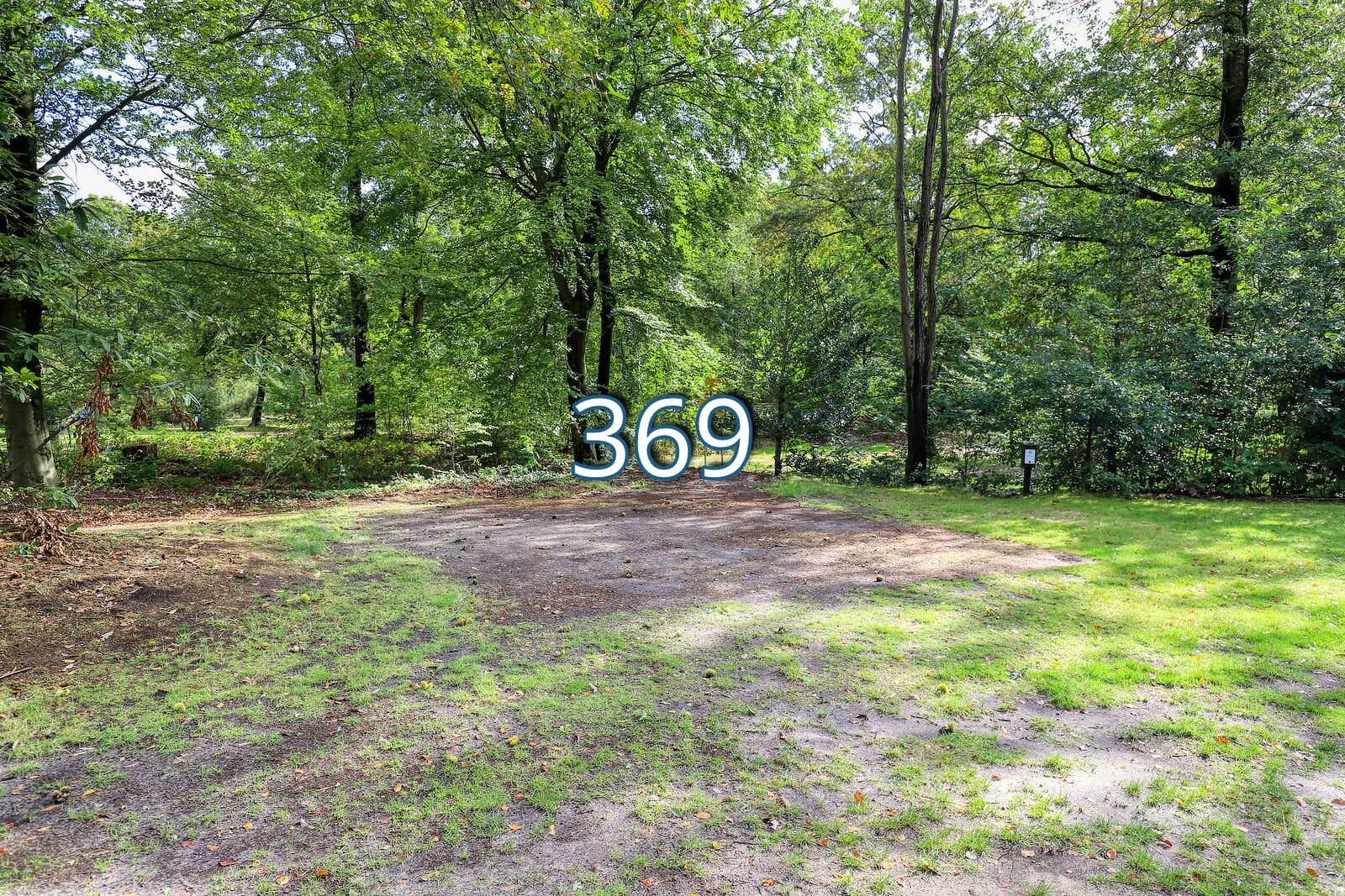 houtduif 369
