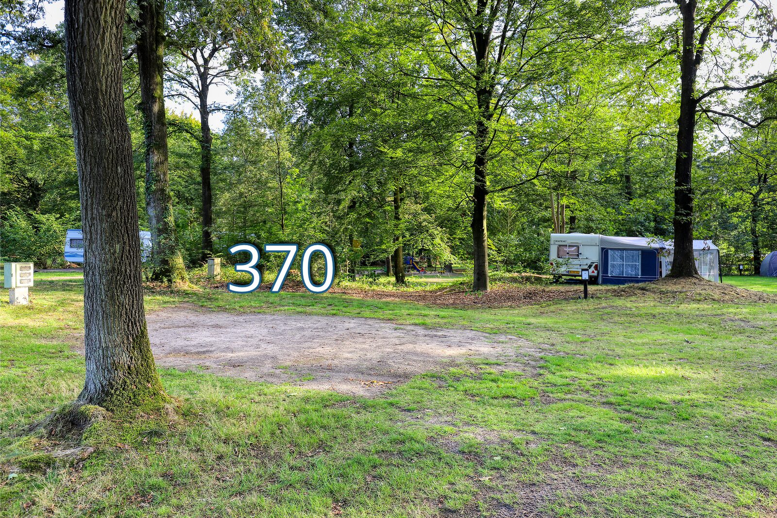 houtduif 370