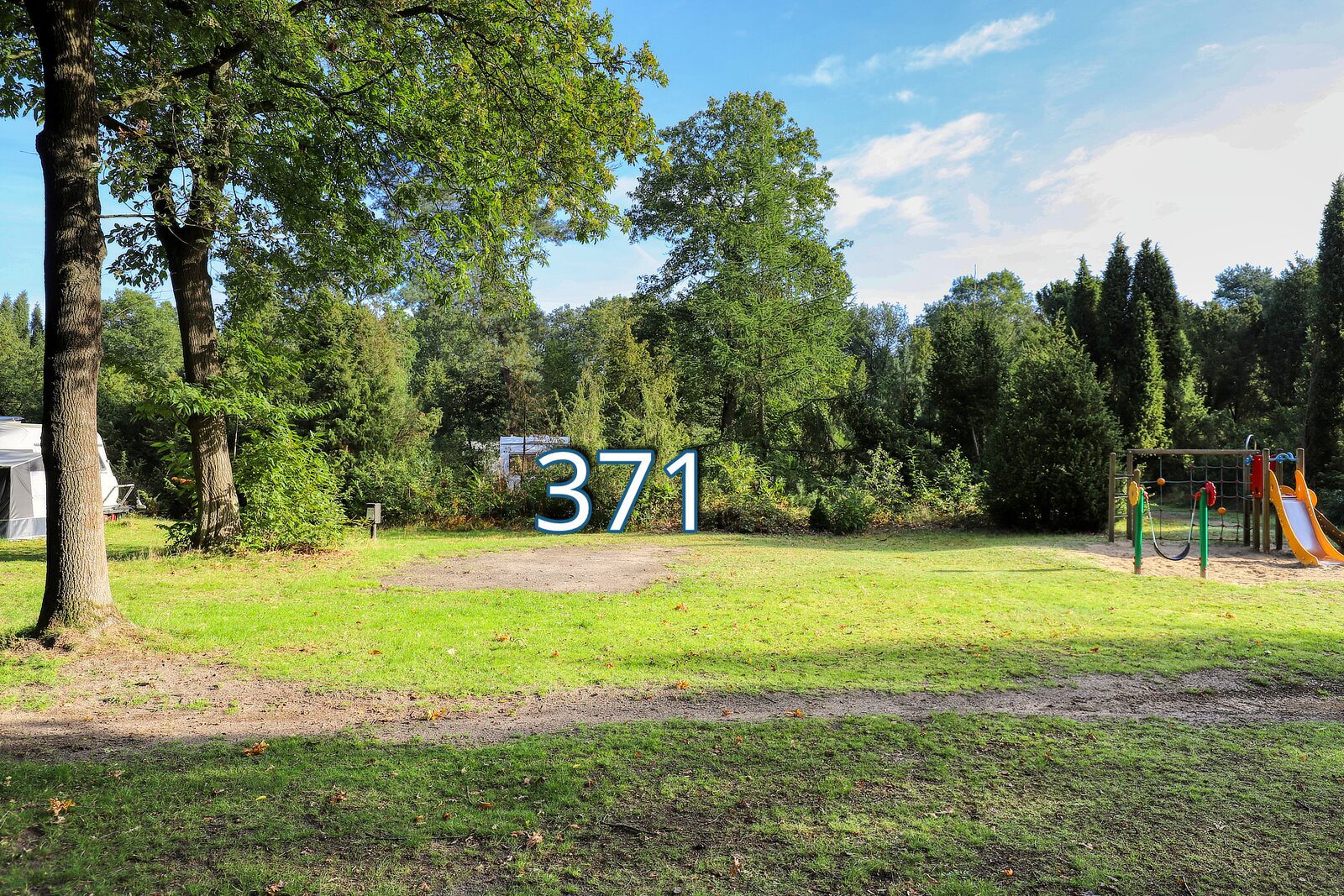 houtduif 371