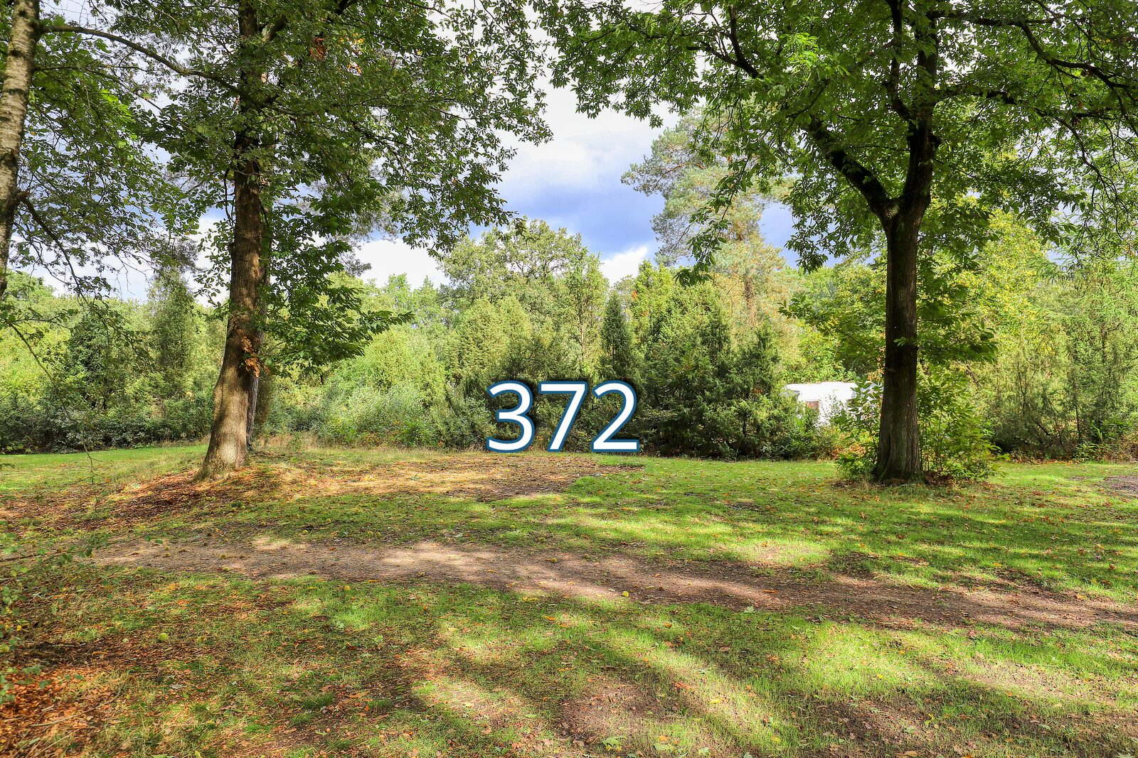 houtduif 372