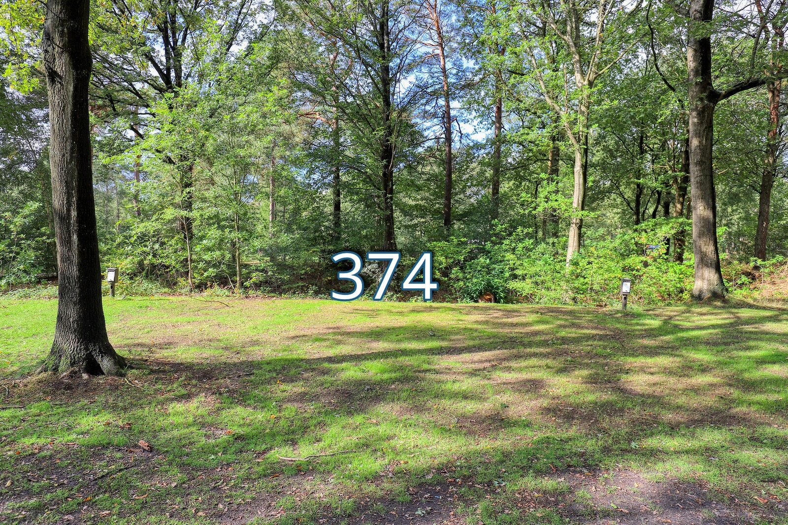houtduif 374