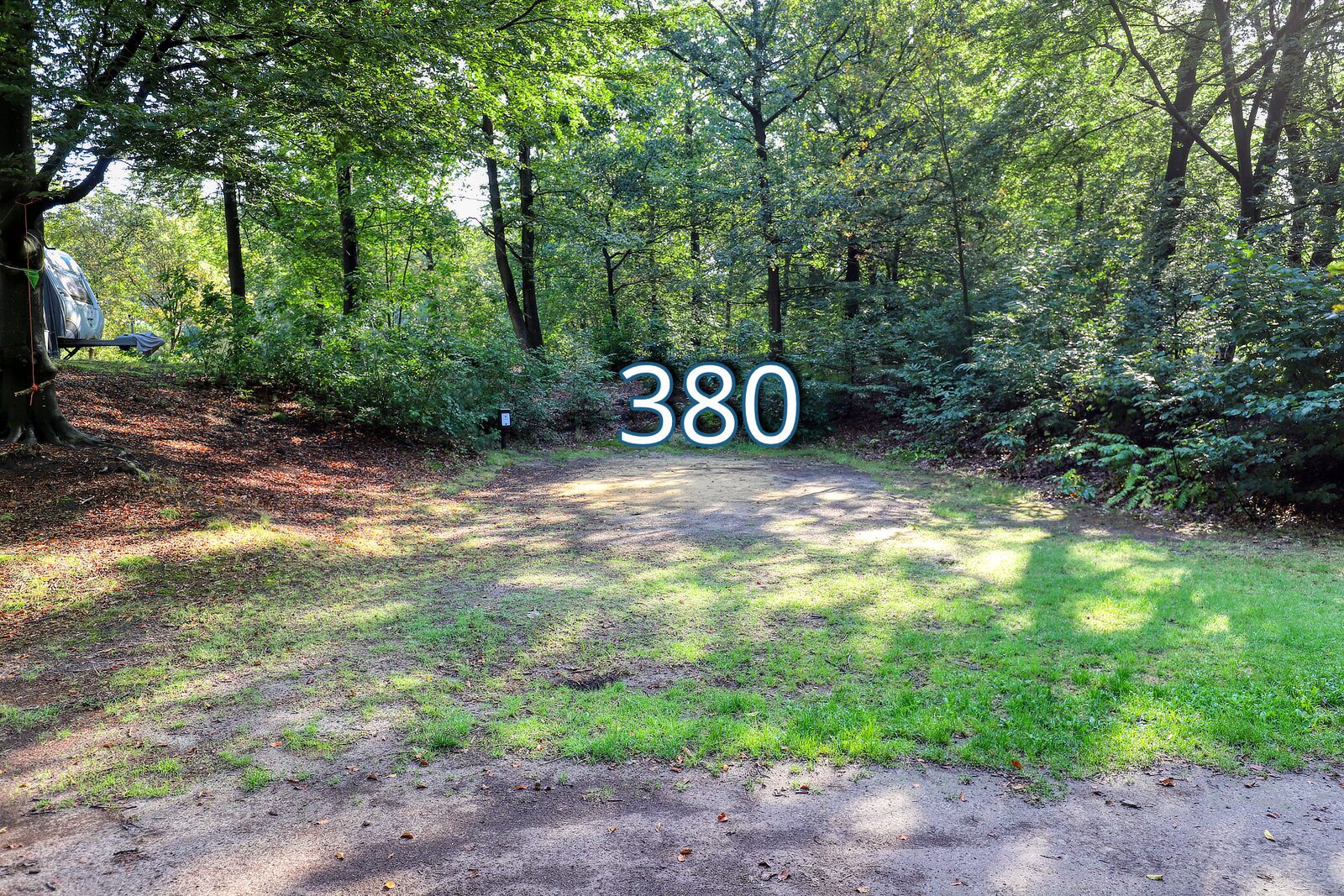 houtduif 380