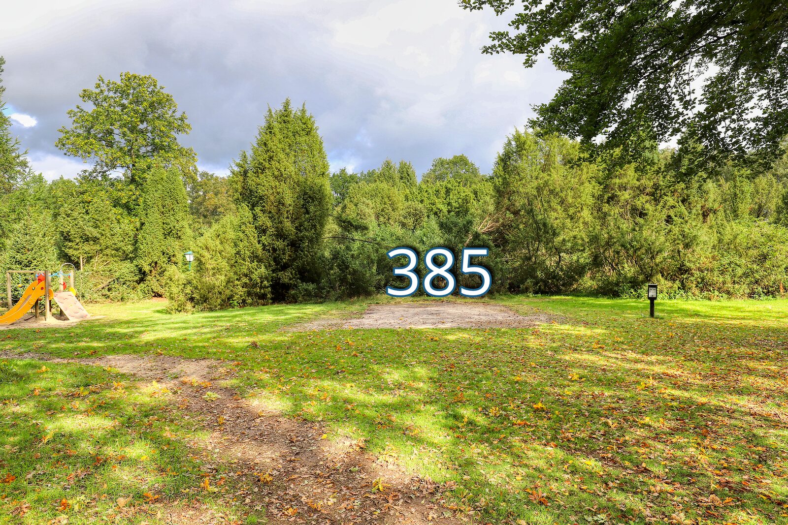 houtduif 385