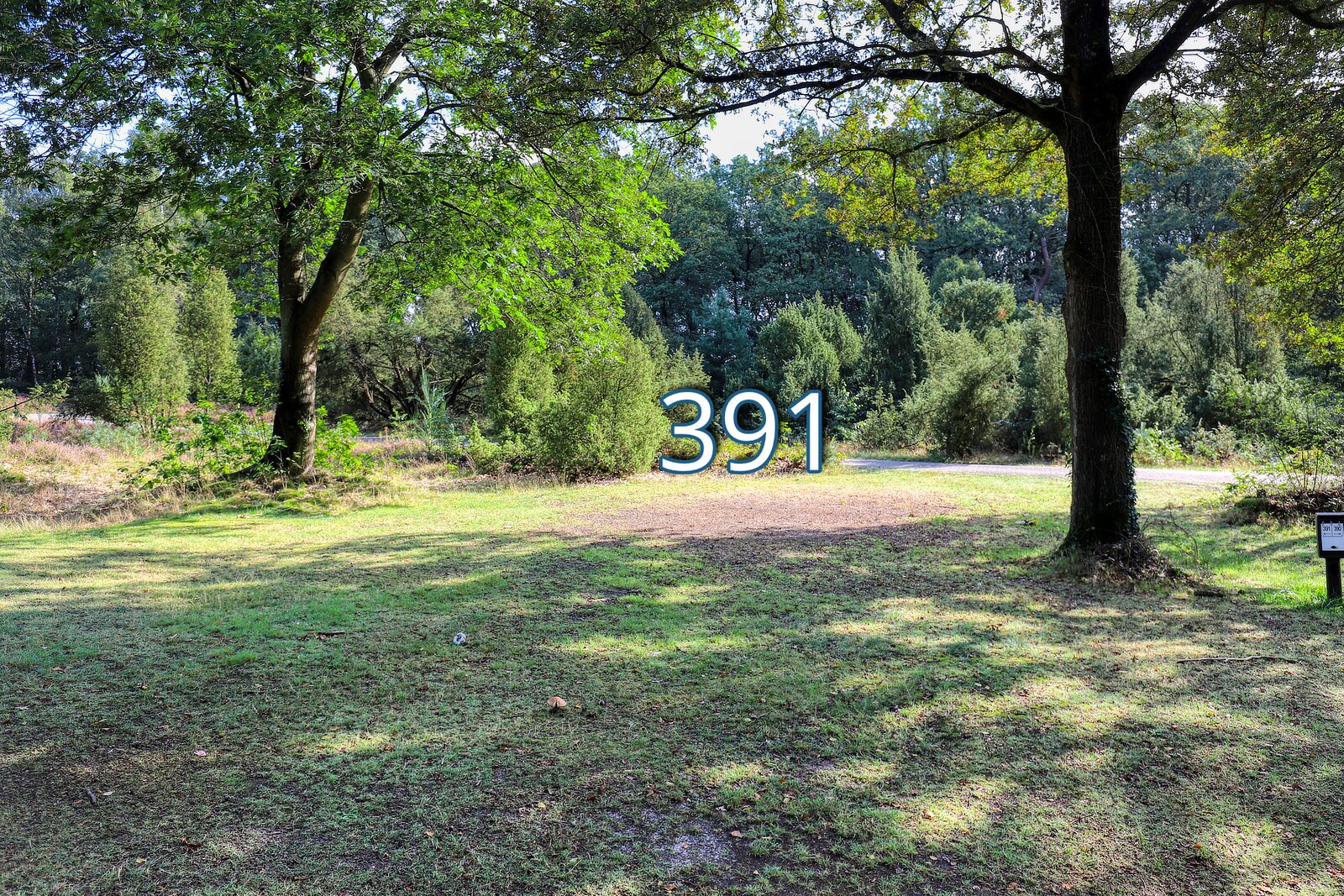 houtduif 391
