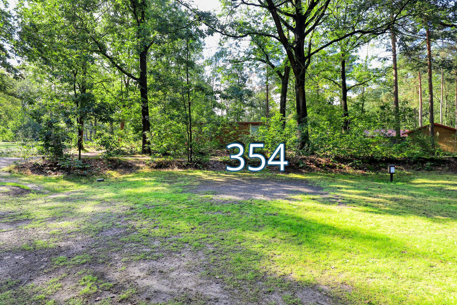 houtduif 354