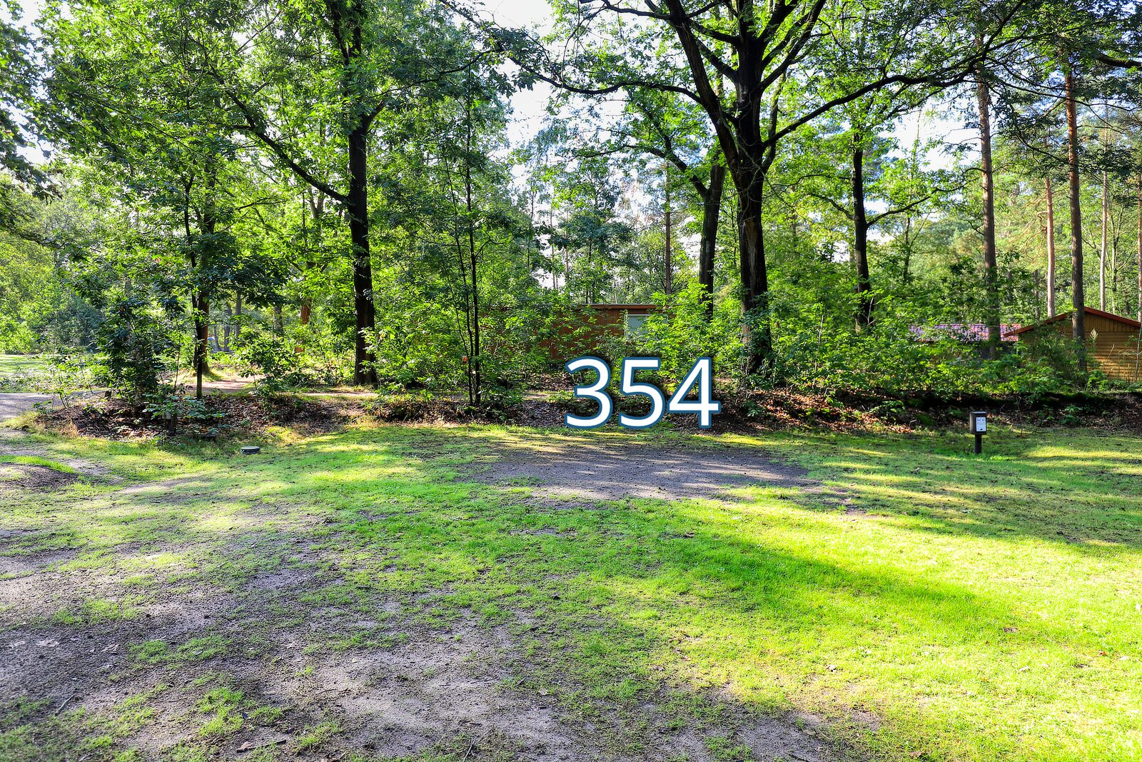 houtduif 354