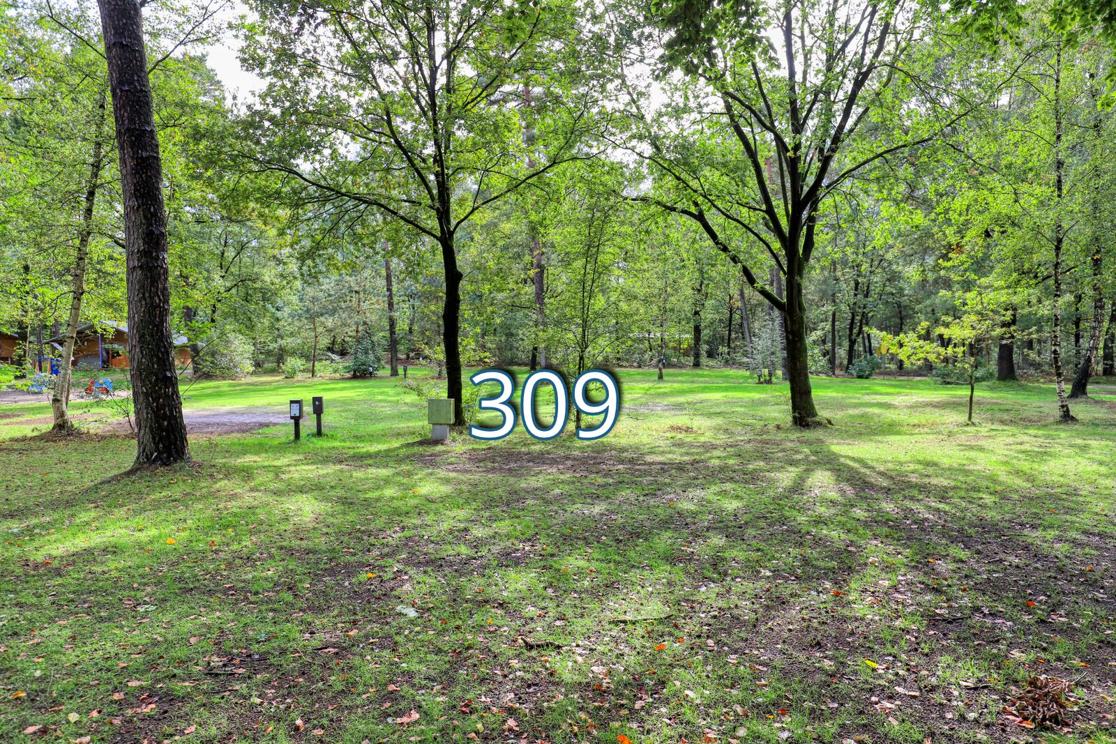 kwikstaart 309