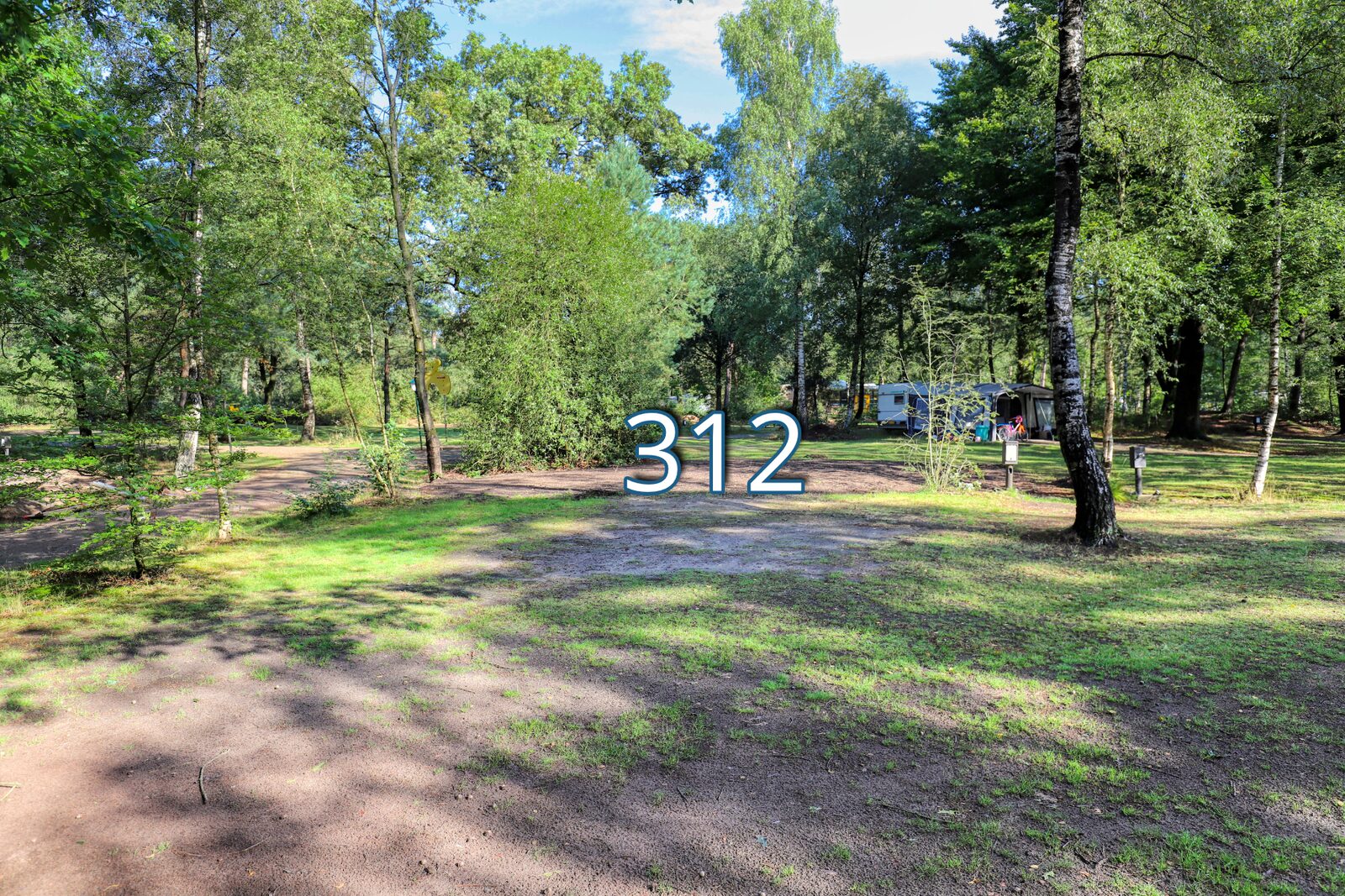 kwikstaart 312
