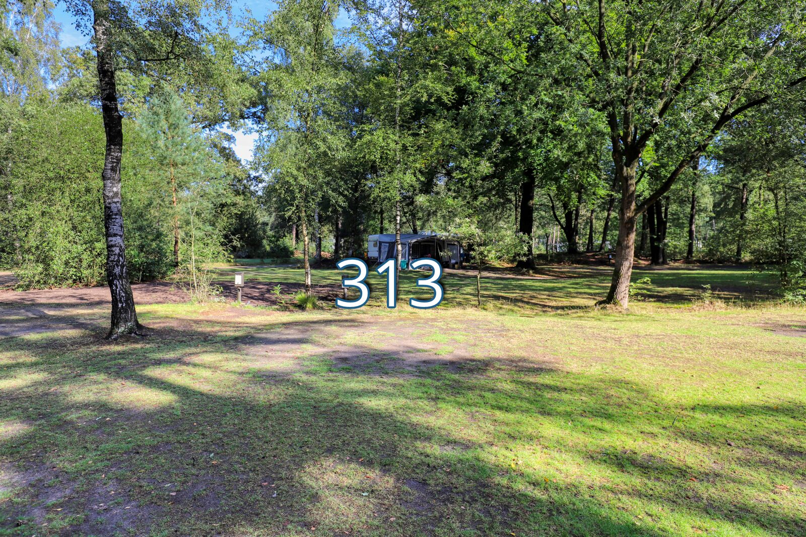 kwikstaart 313