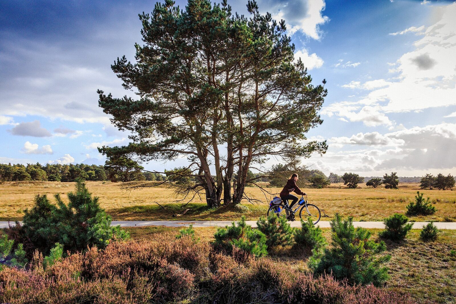 Nationaal Park Hoge Veluwe