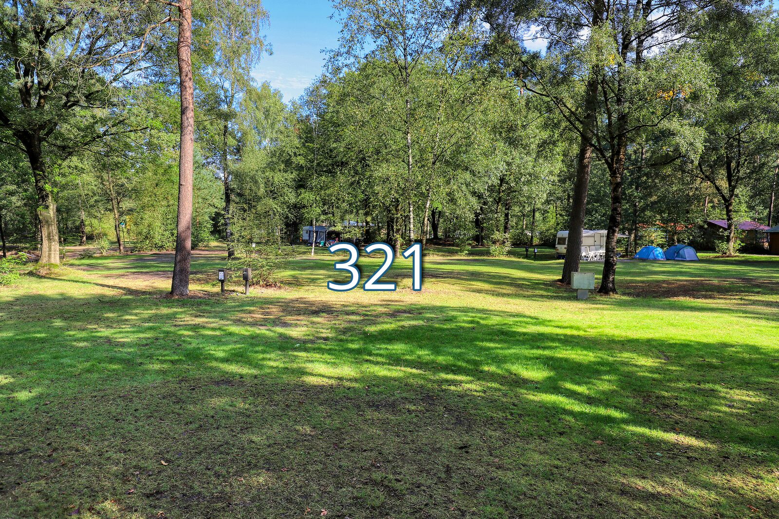 kwikstaart 321