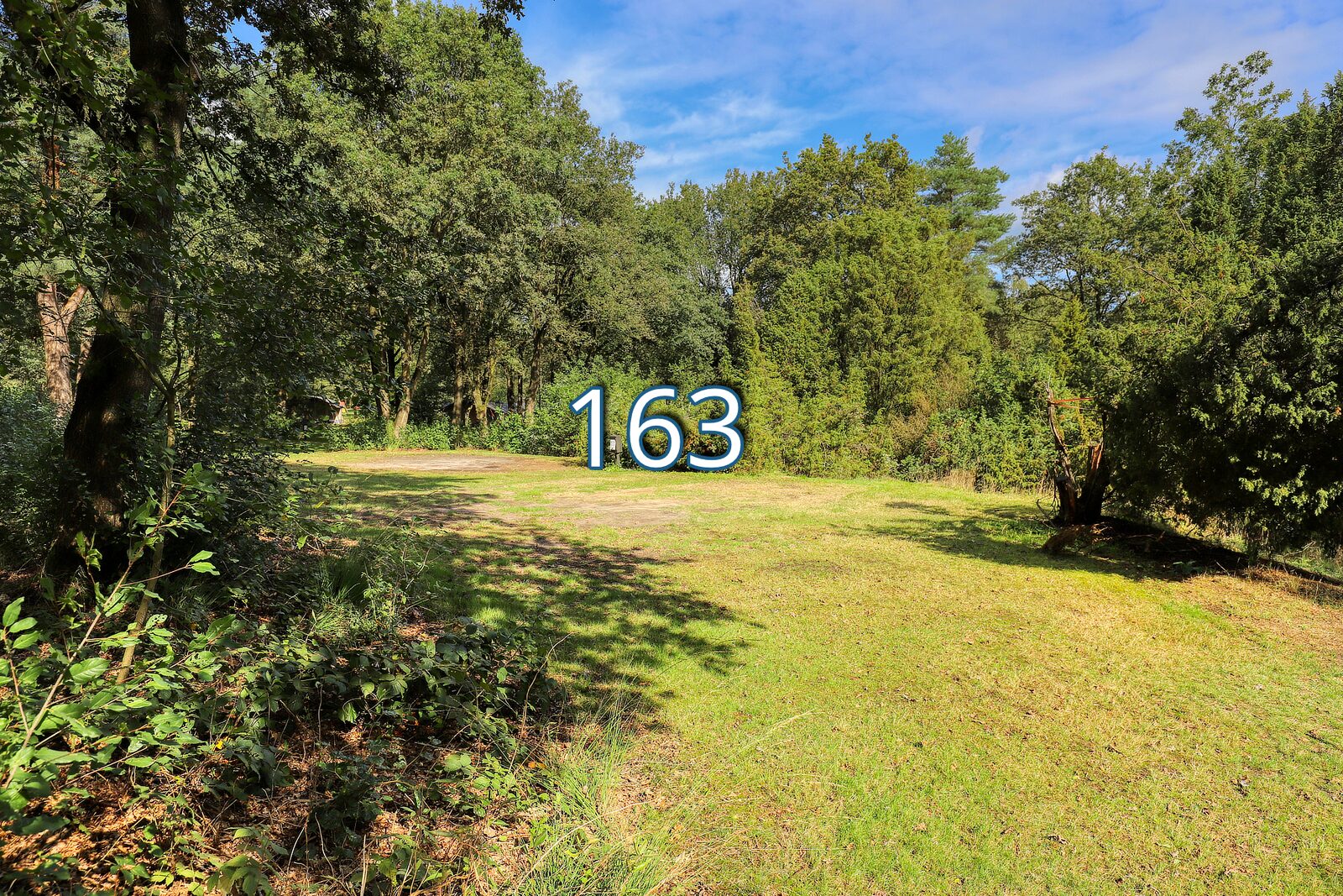 top 20 roege stuk 163