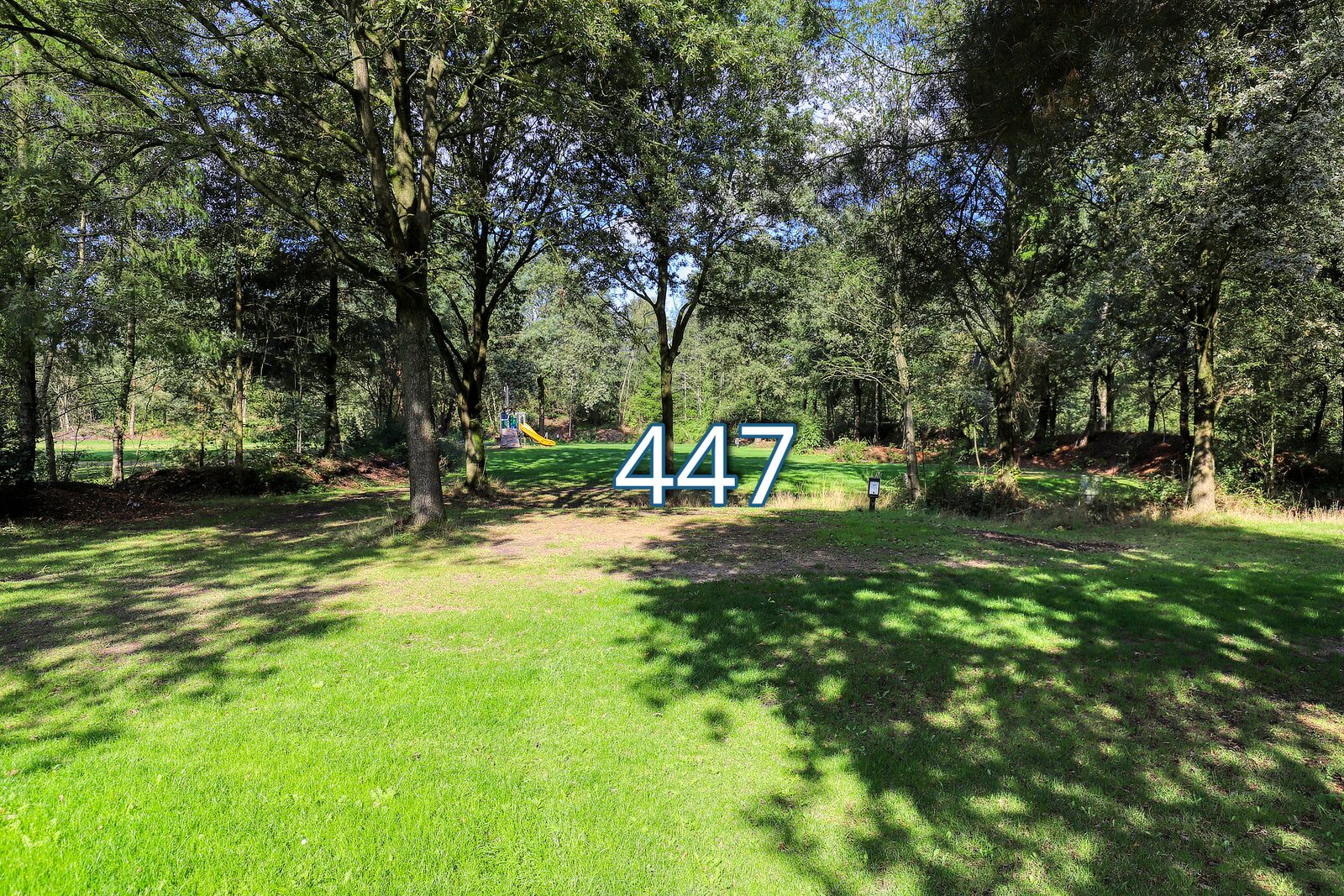 rumte 447