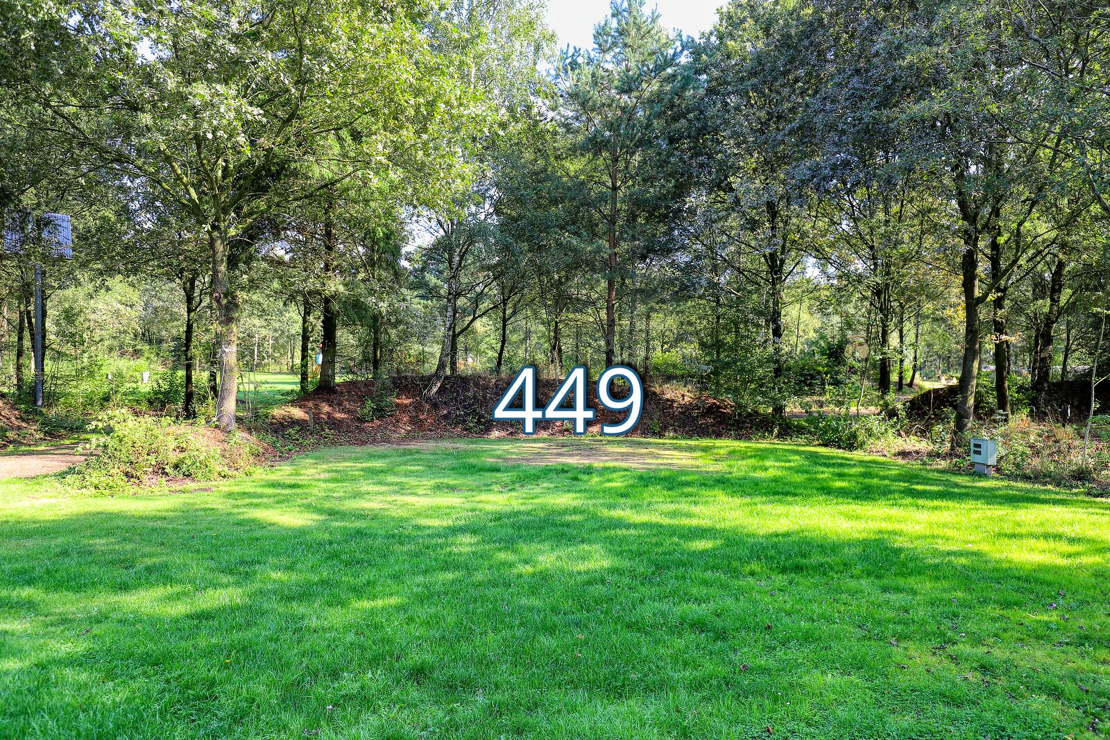rumte 449