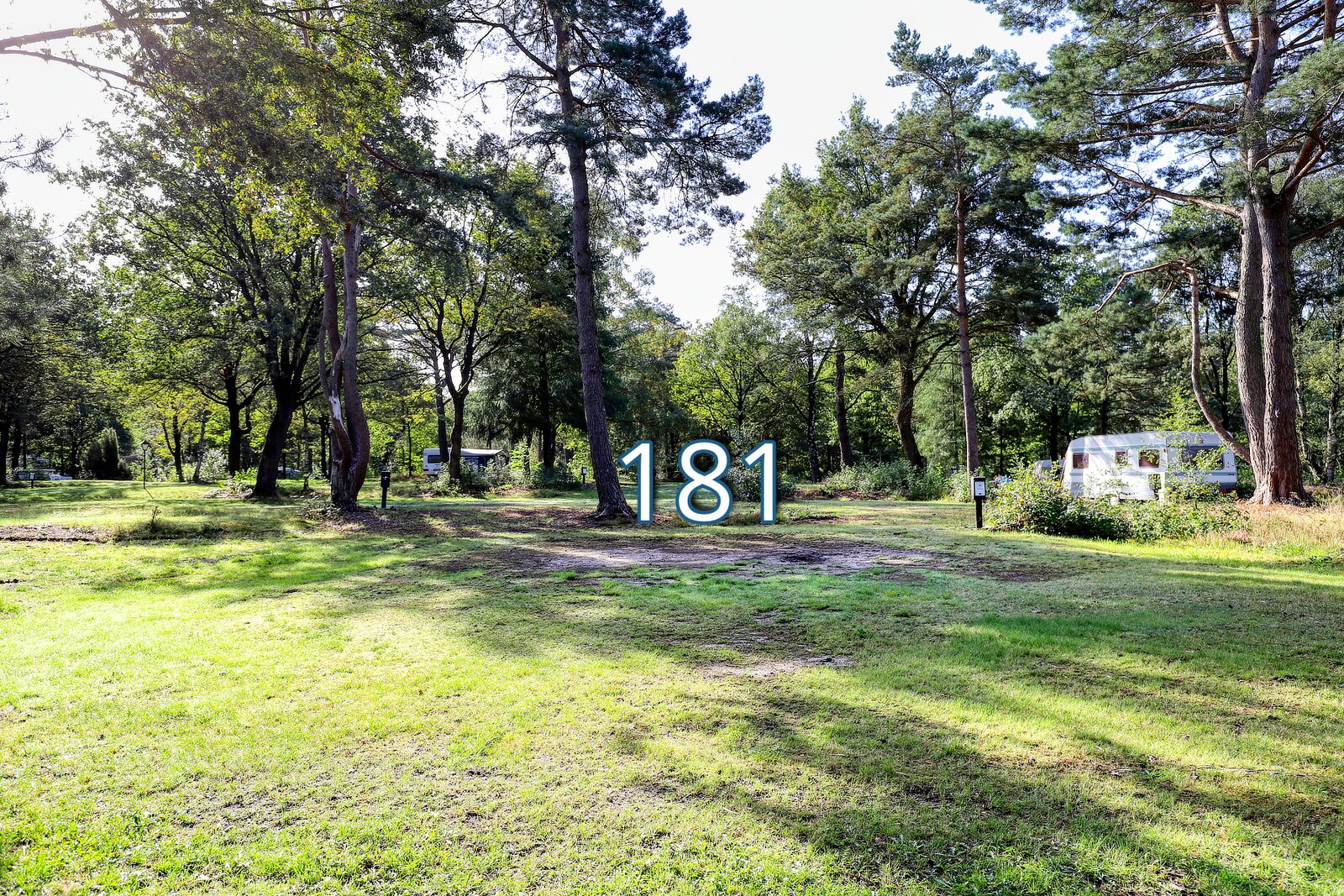 roege stuk 181