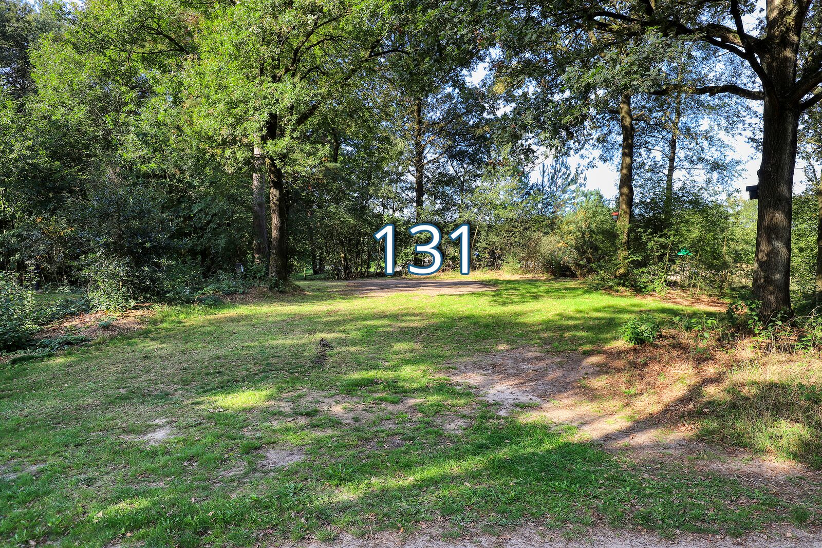 tureluur 131