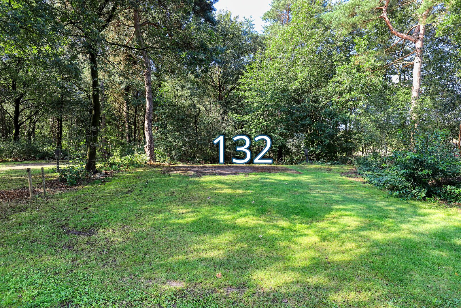 tureluur 132