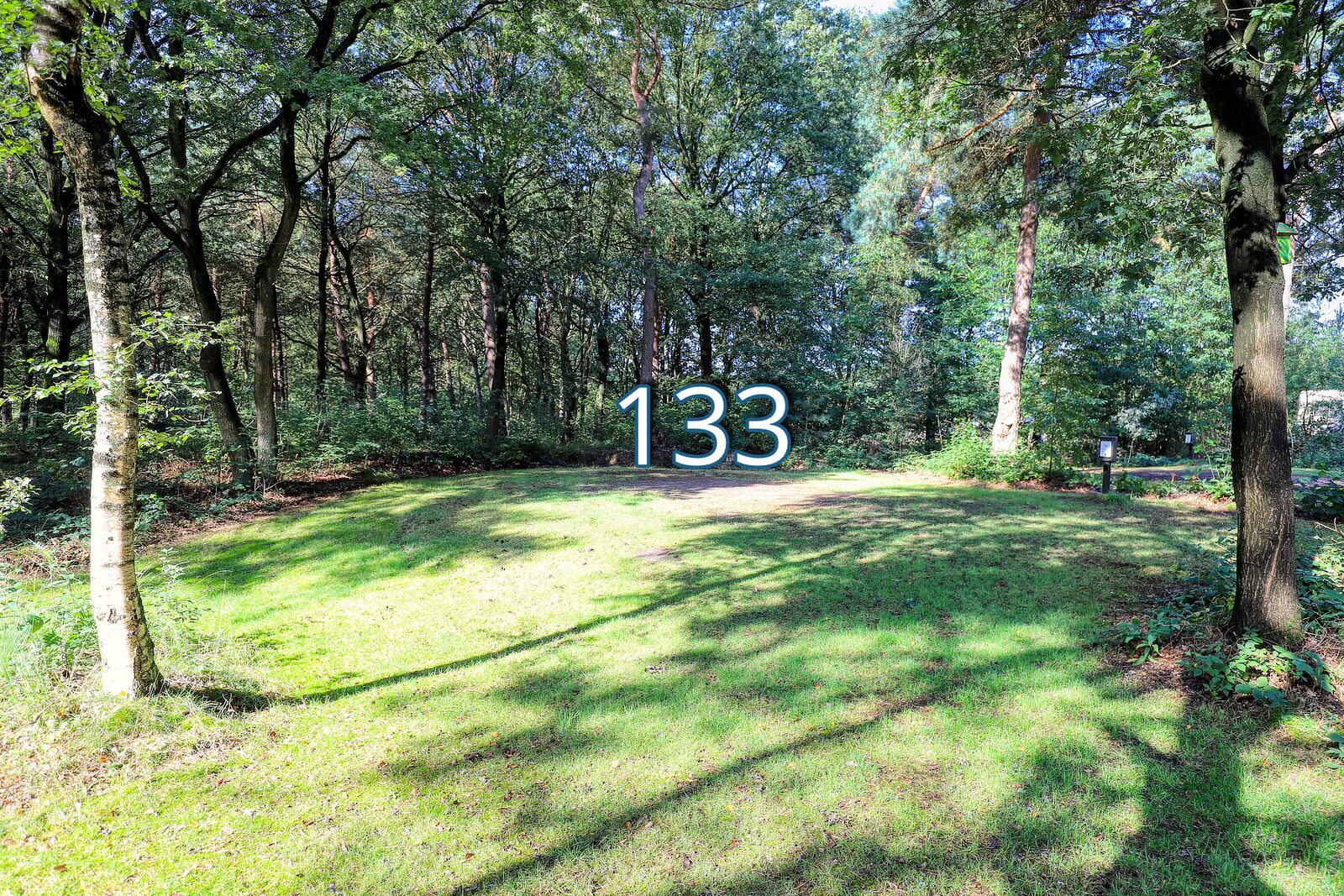 tureluur 133
