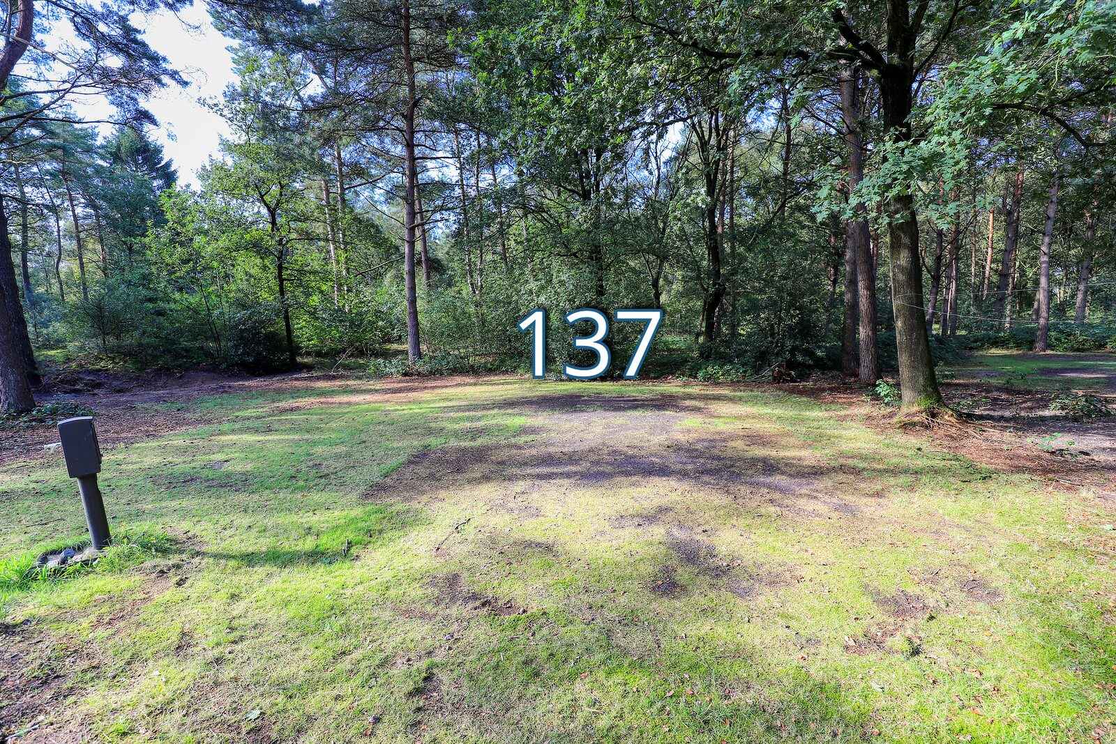 tureluur 137