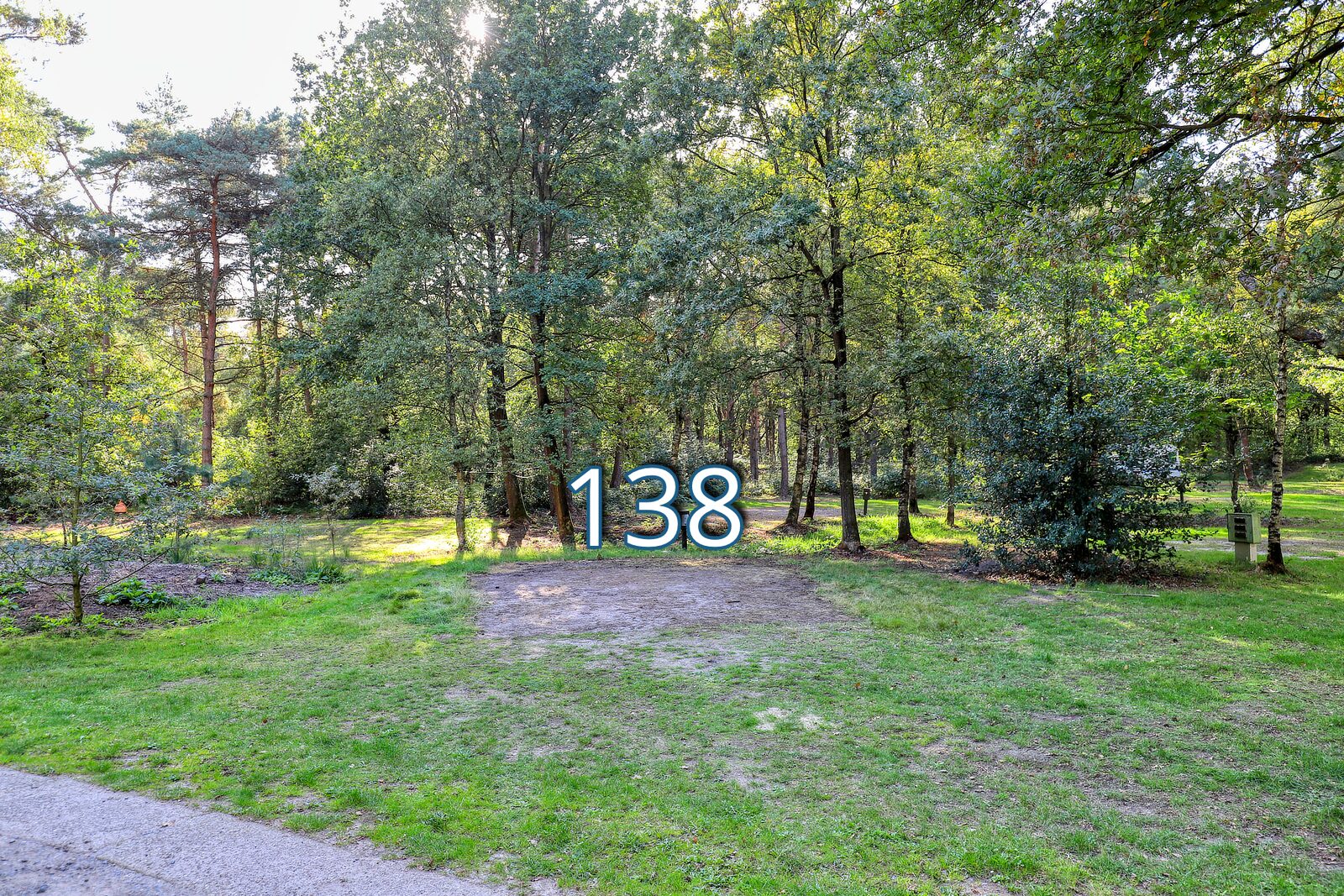 tureluur 138