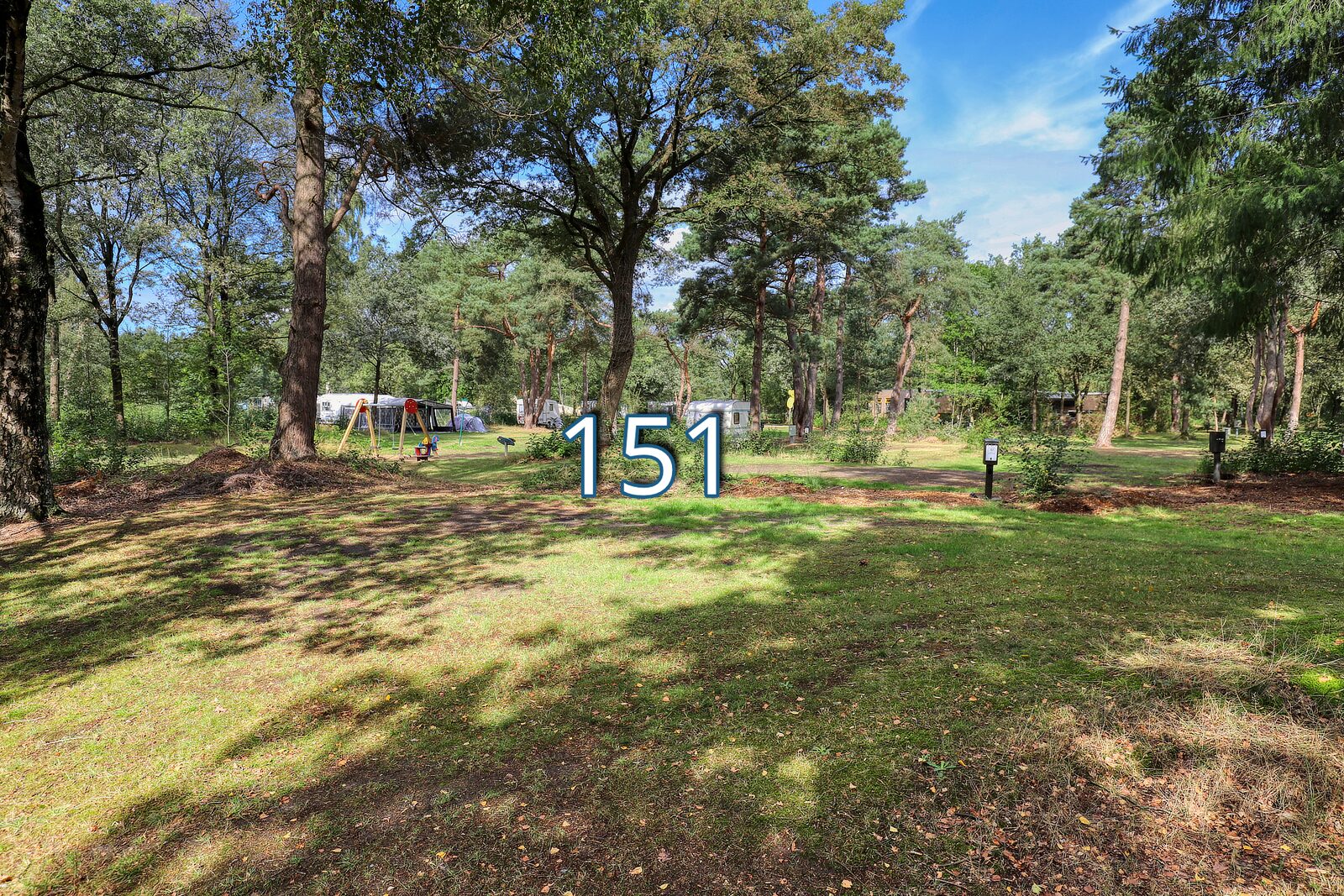 tureluur 151