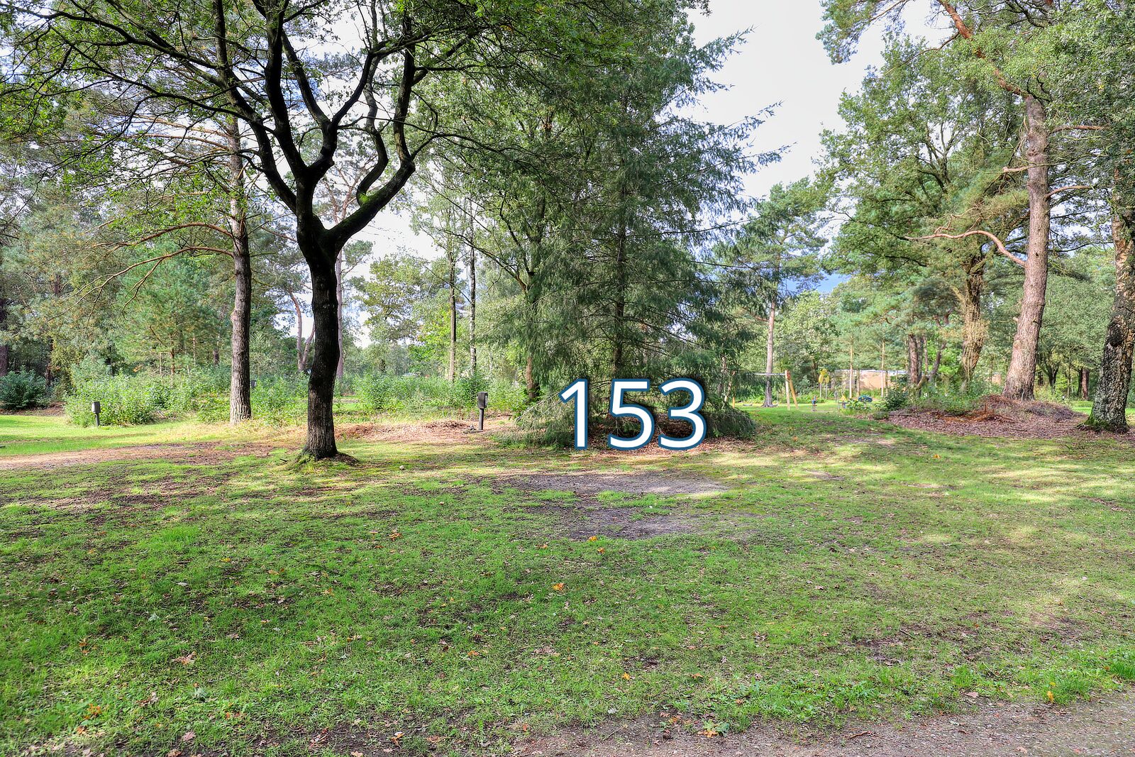 tureluur 153