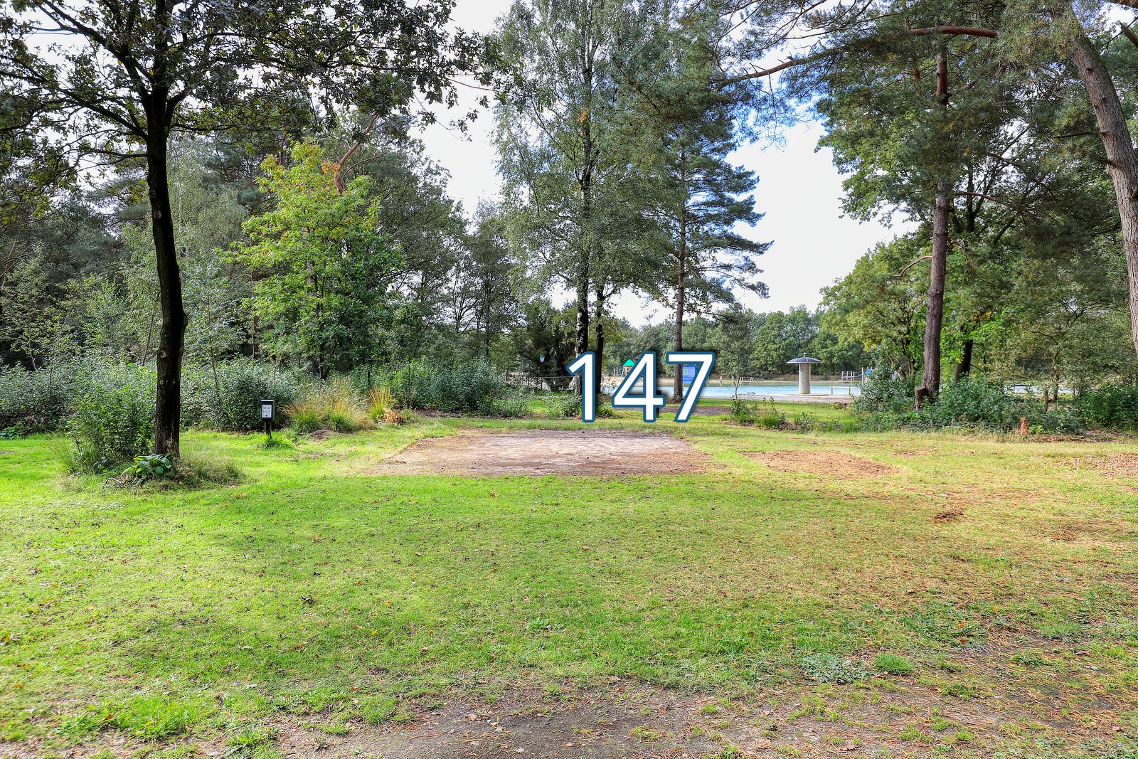 tureluur 147