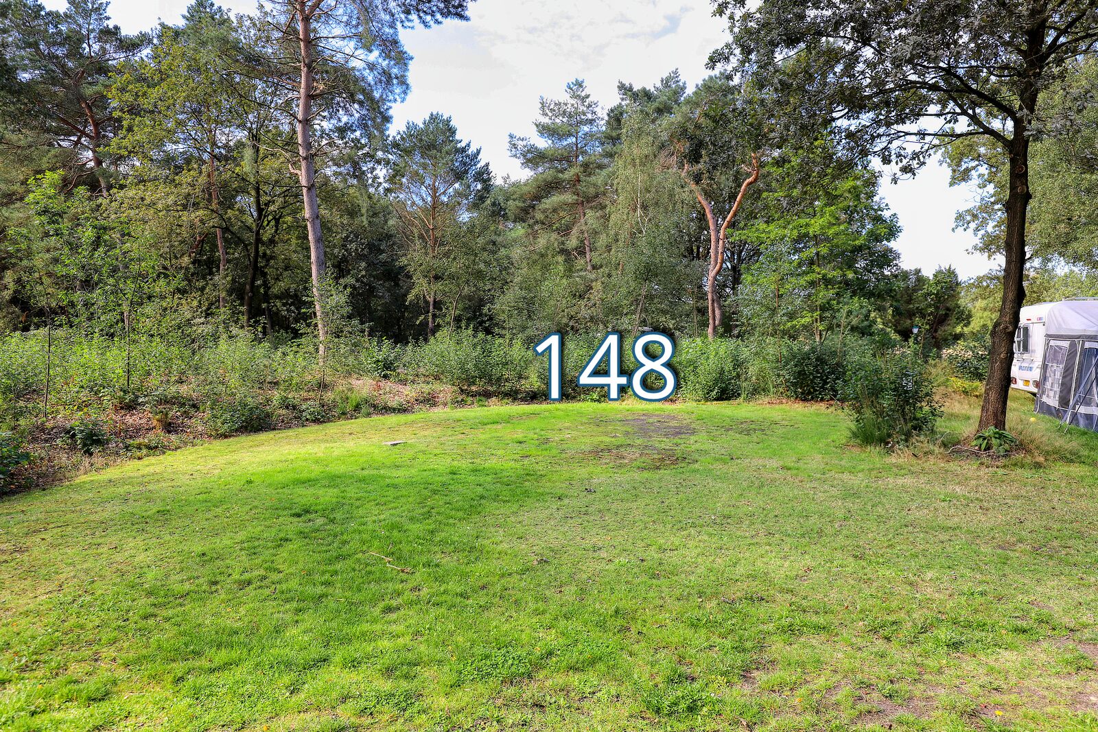 tureluur 148