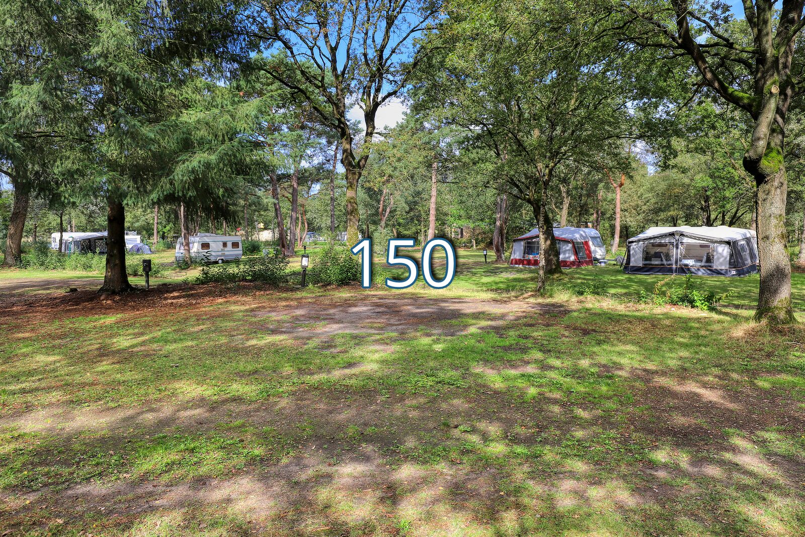 tureluur 150
